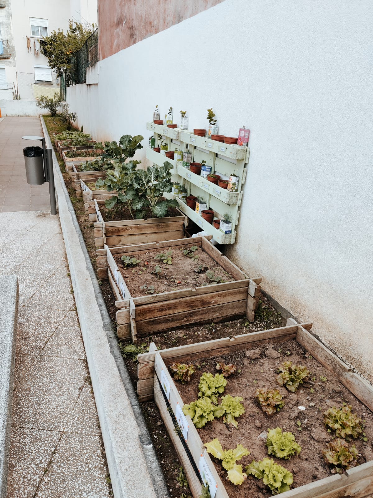 Horta