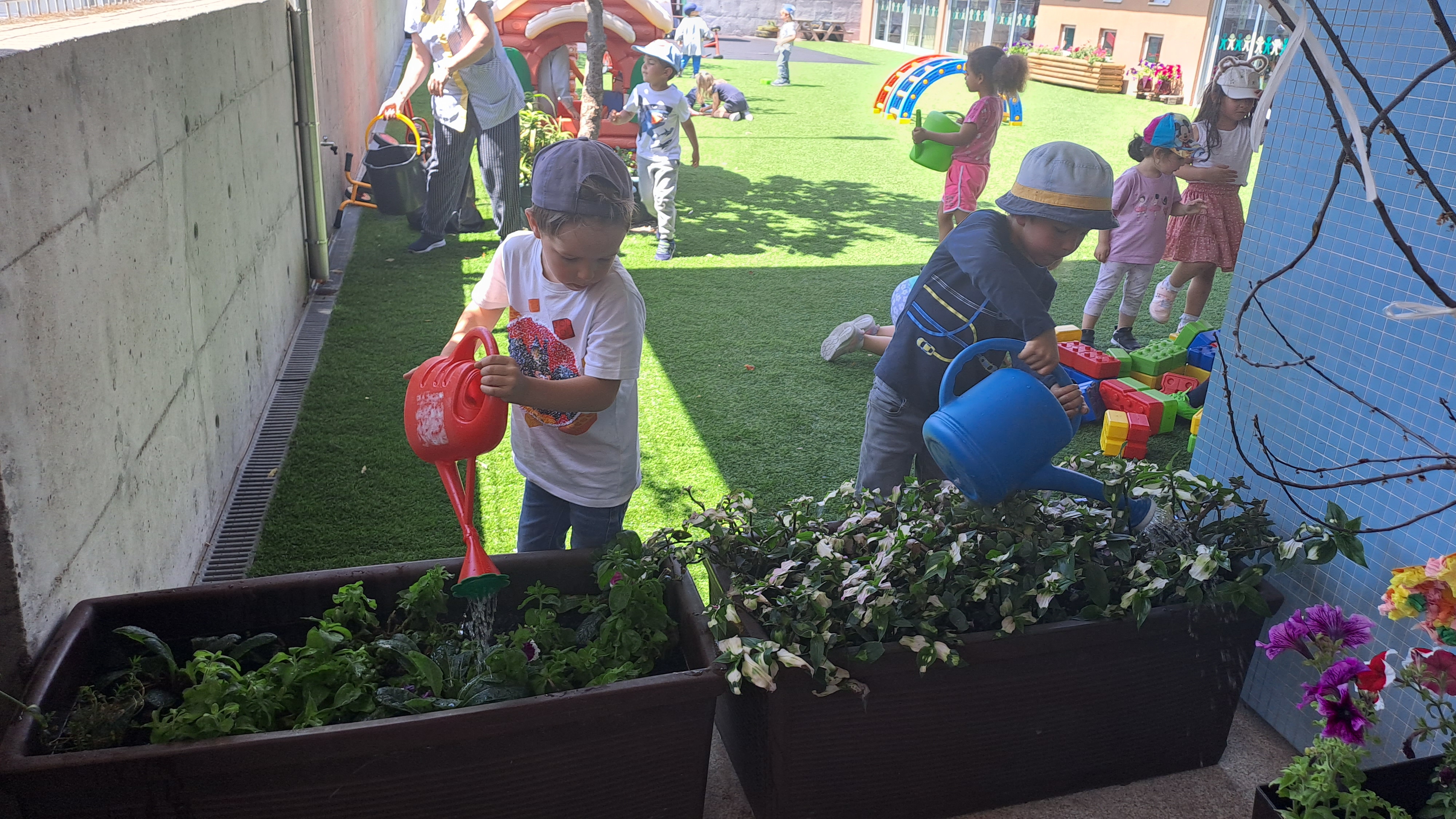O prazer em cuidar da natureza e das plantas ultrapassa os limites da horta, pois as crianças fazem questão de ser elas a regar  as flores e plantas que temos no recreio.