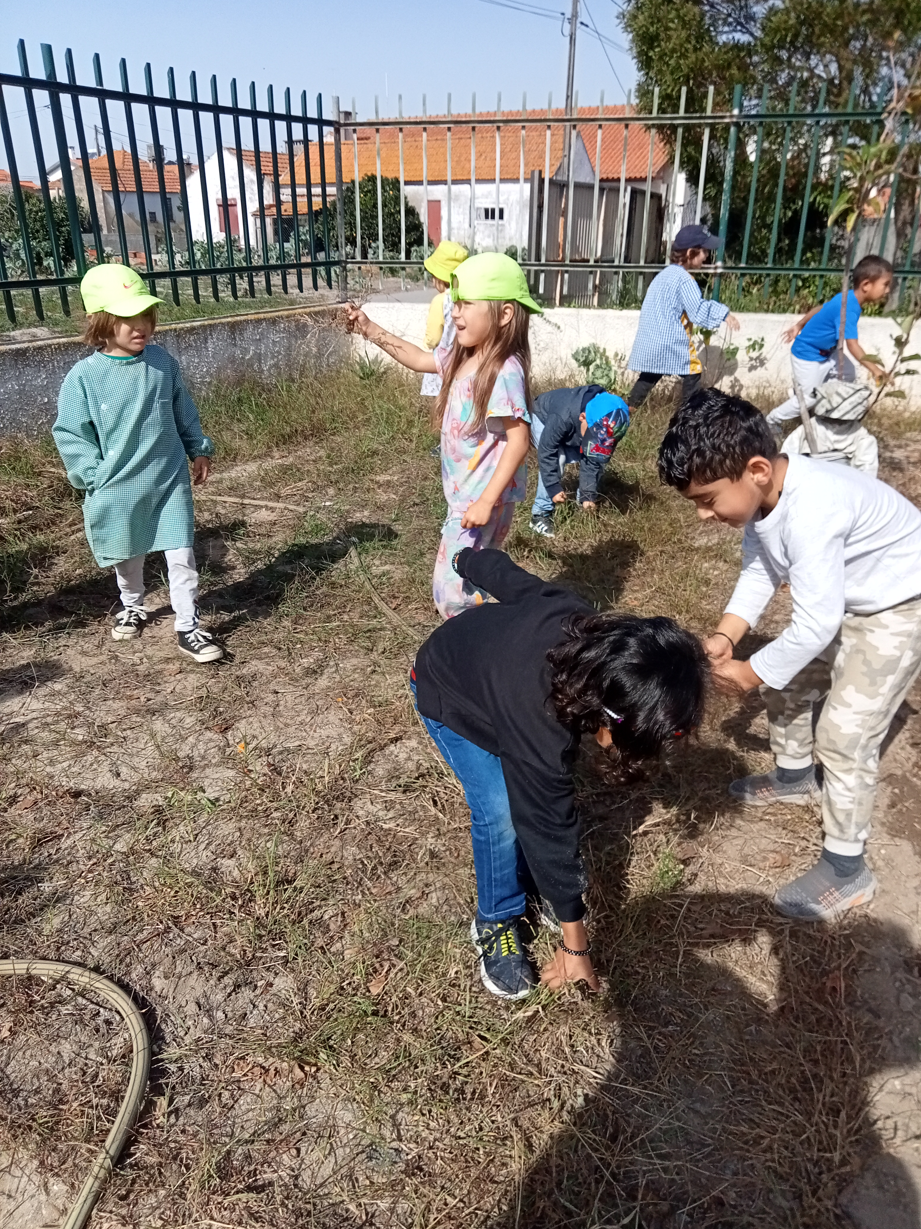 Limpeza e preparação da horta