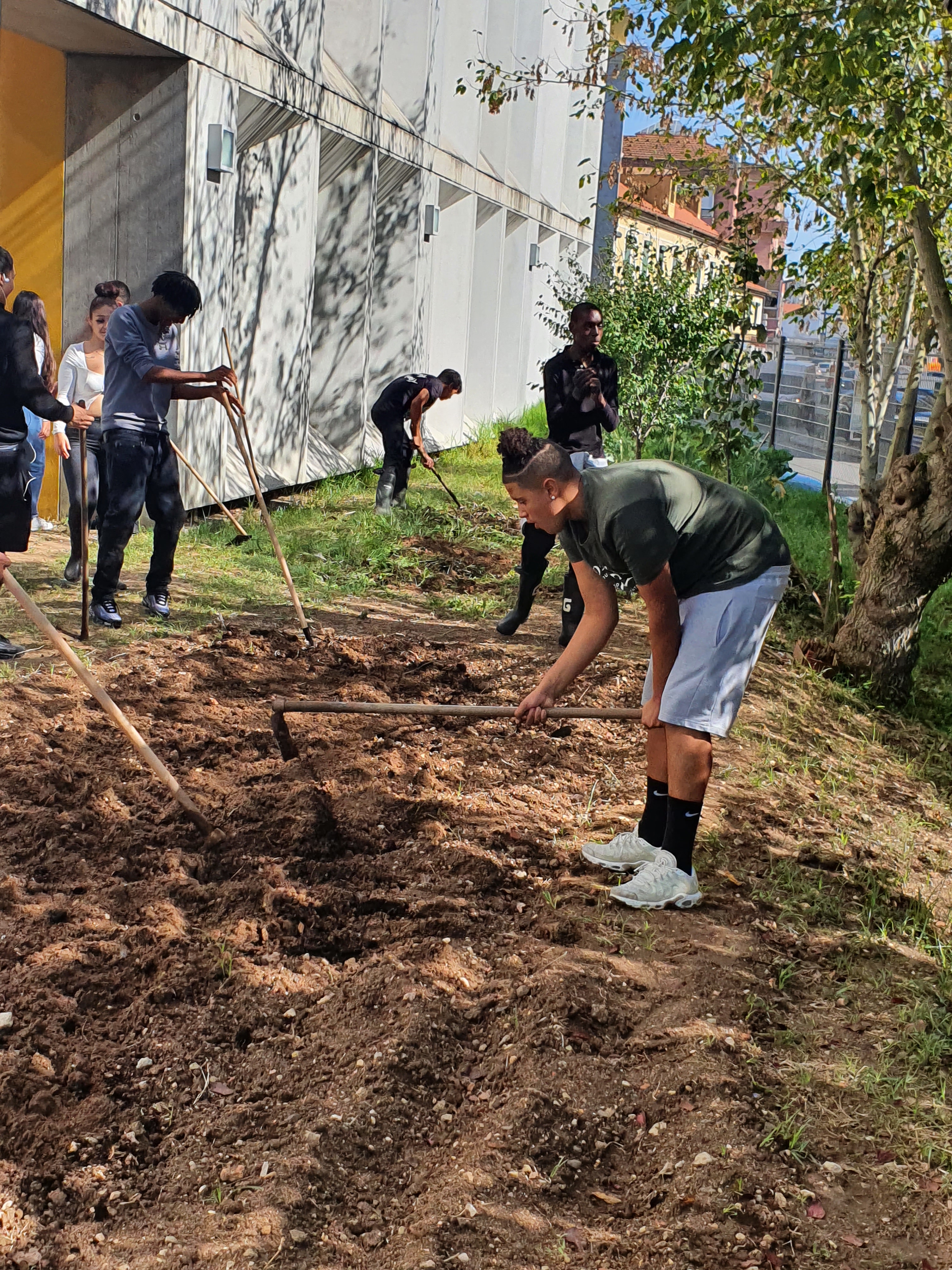 Preparação do terreno para a horta