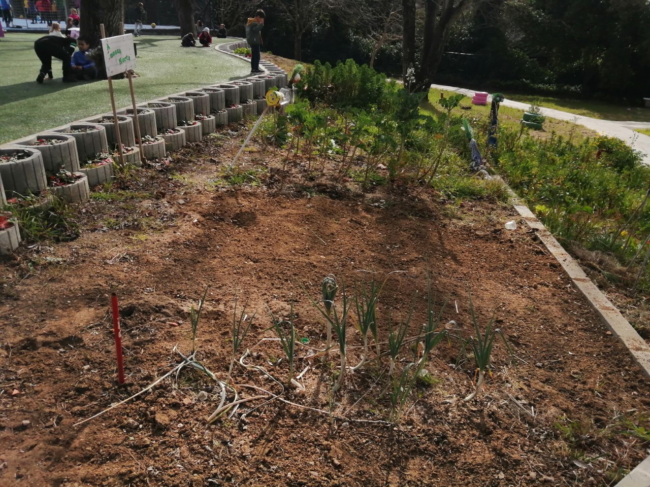 Espaço da horta. Este espaço já começou a ser limpo