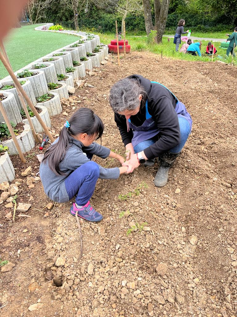 uma das crianças a plantar um tomateiro