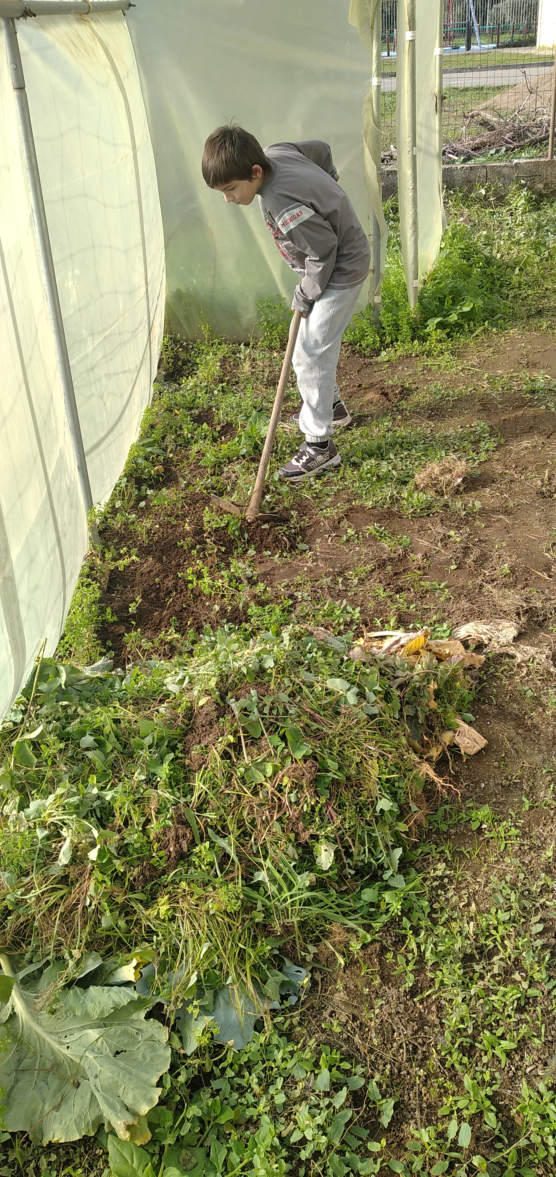 Limpeza do terreno da estufa: retirar as ervas daninhas necessárias para o biocompostor.
Também foi feita a limpeza inicial na horta exterior à estufa.