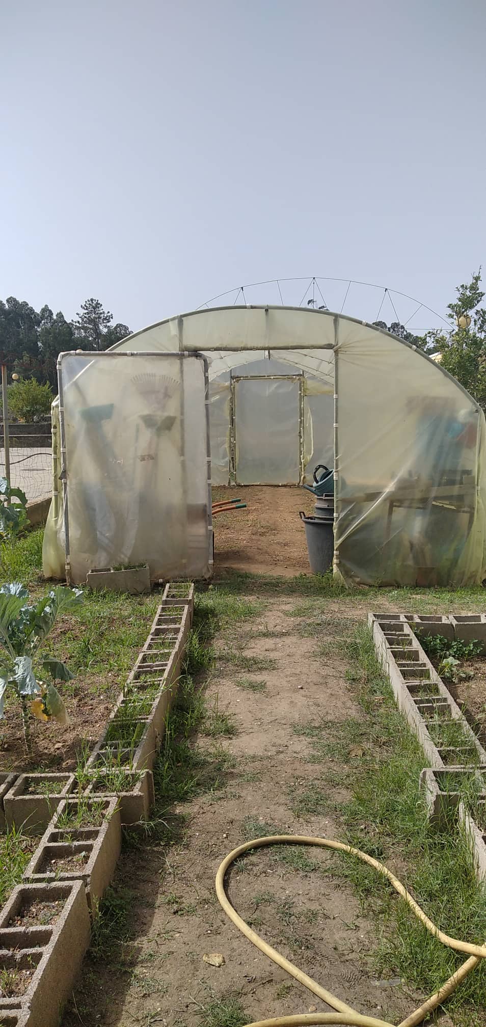 Espaço da horta e estufa inicial.