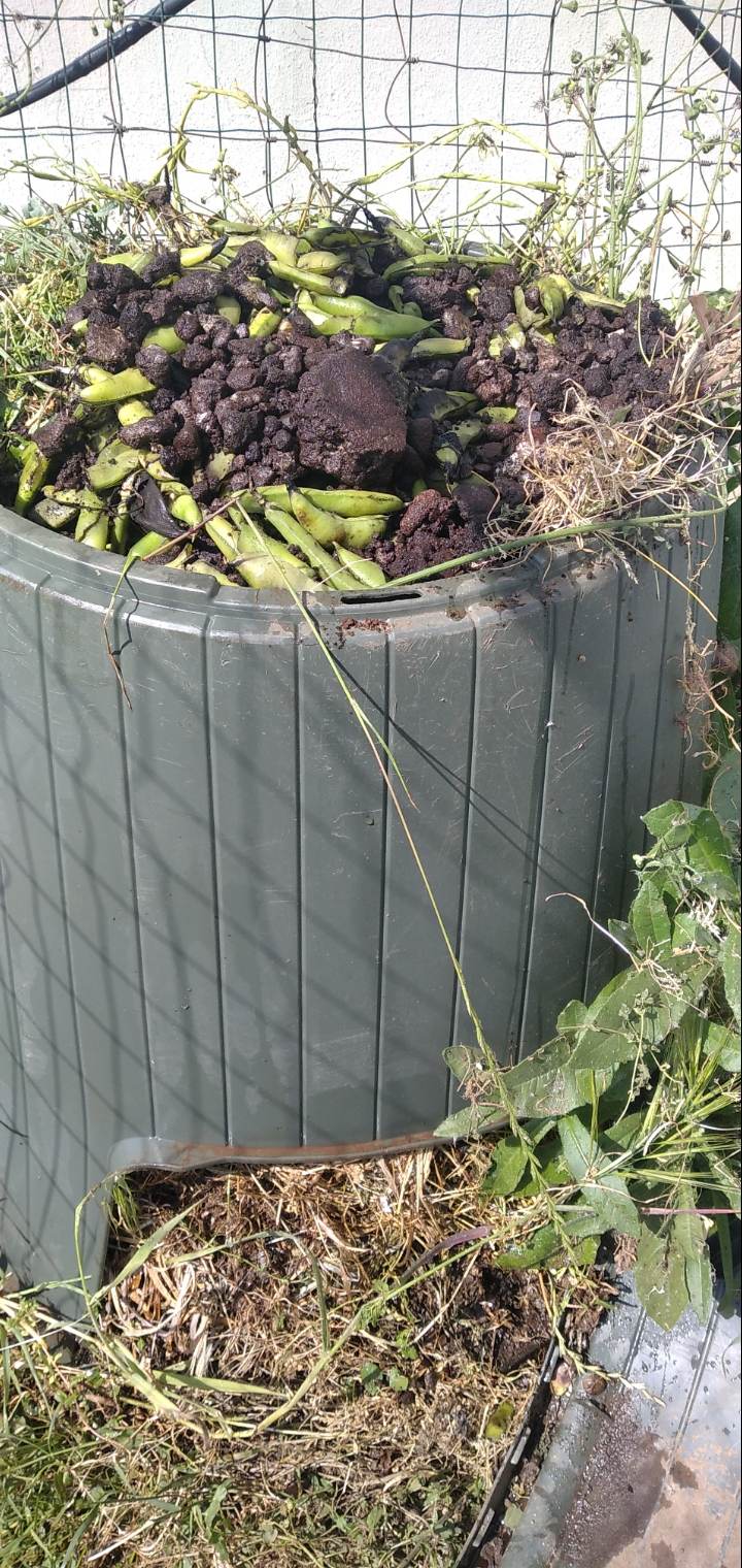 Dinamização do compostor da horta com os resíduos vegetais resultantes da horta, alternando resíduos verdes com secos, com terra, cinzas e borras de café e regando regularmente.