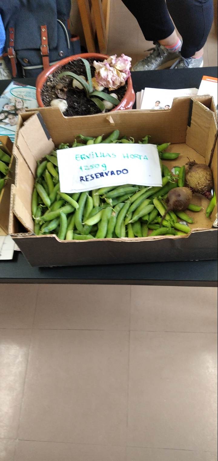 Recolha de ervilhas da horta, pesagem e venda para a comunidade educativa.
