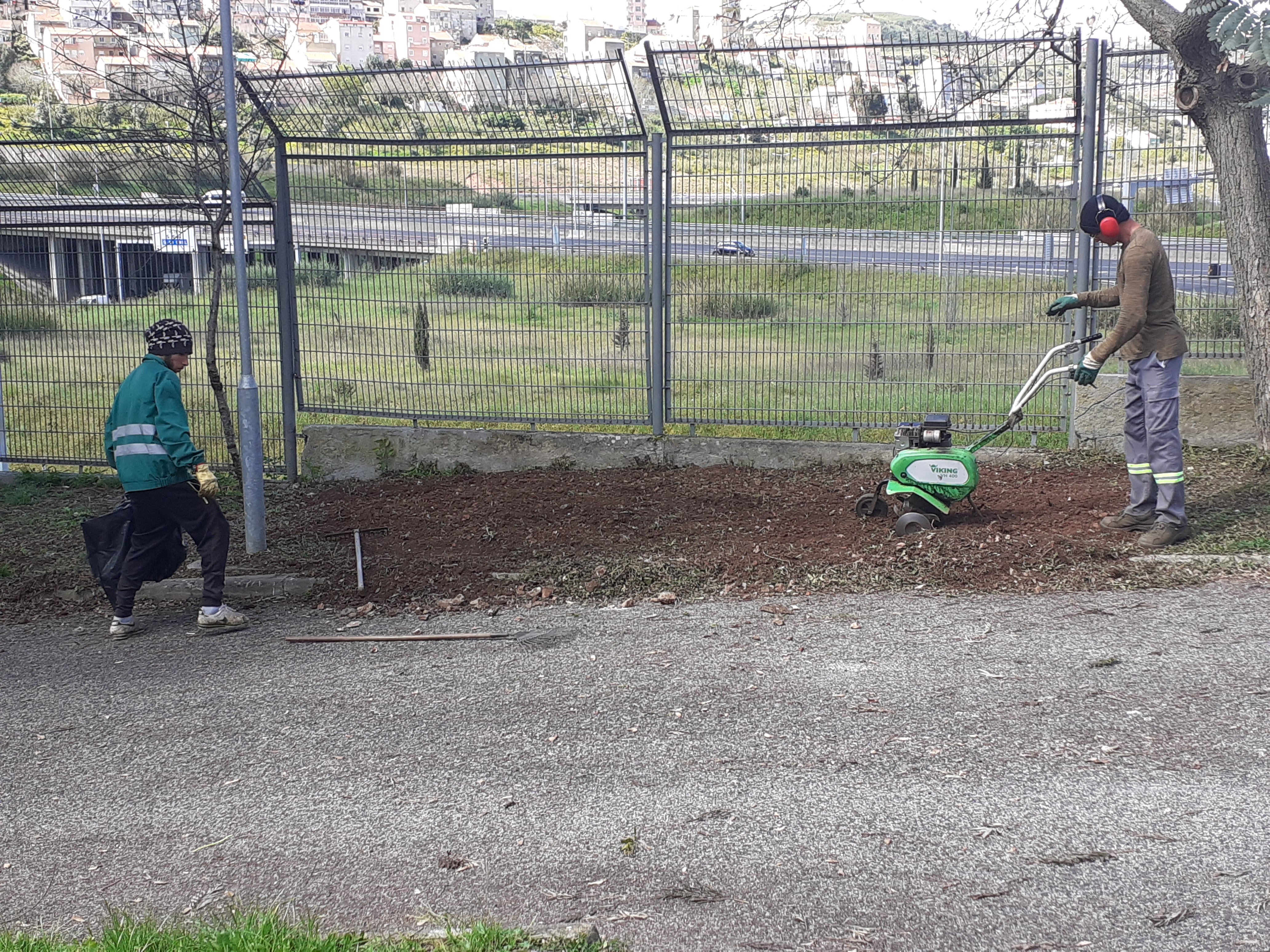 Preparação do terreno para a horta 2