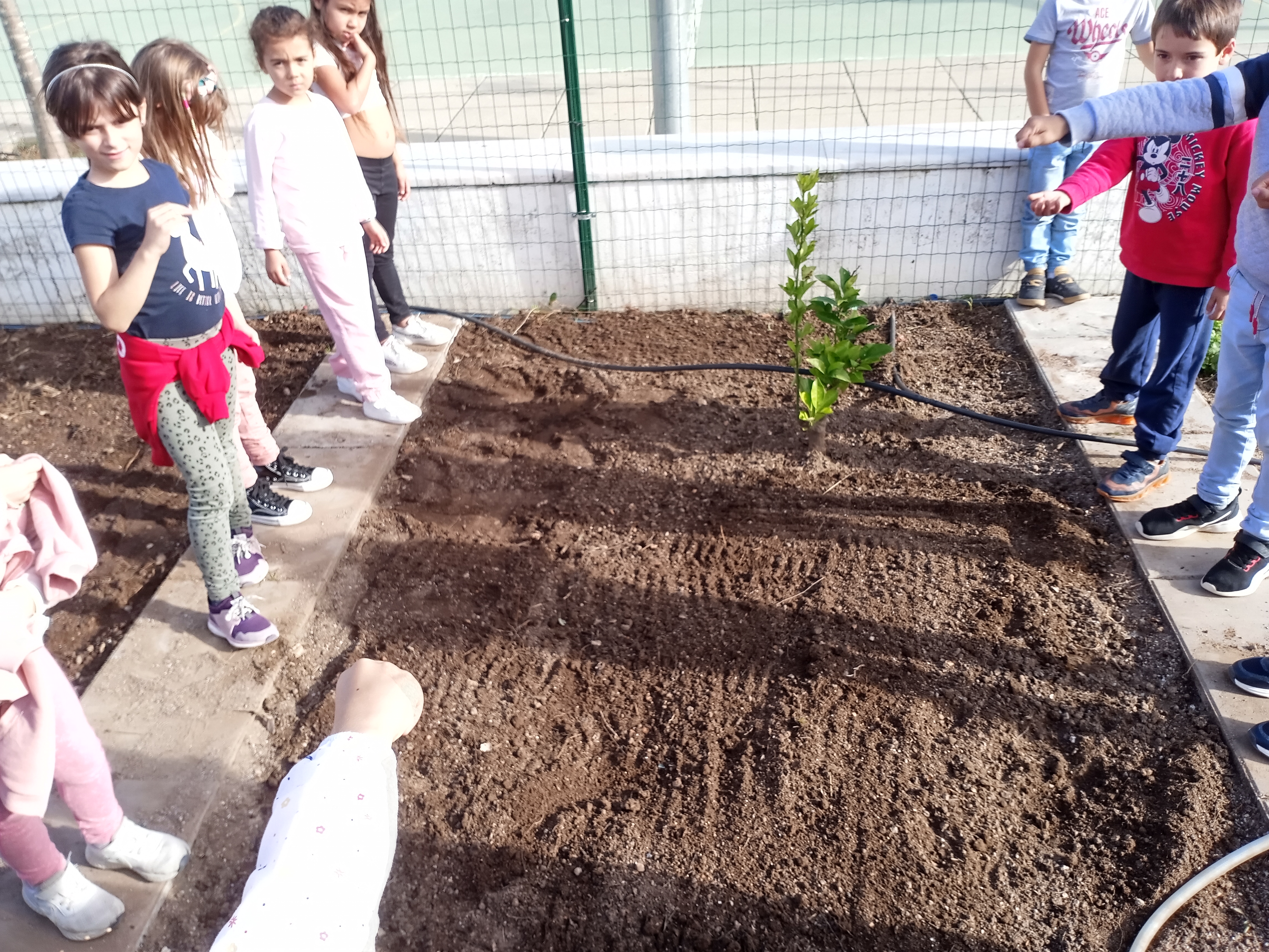 "Terra pronta, semear!