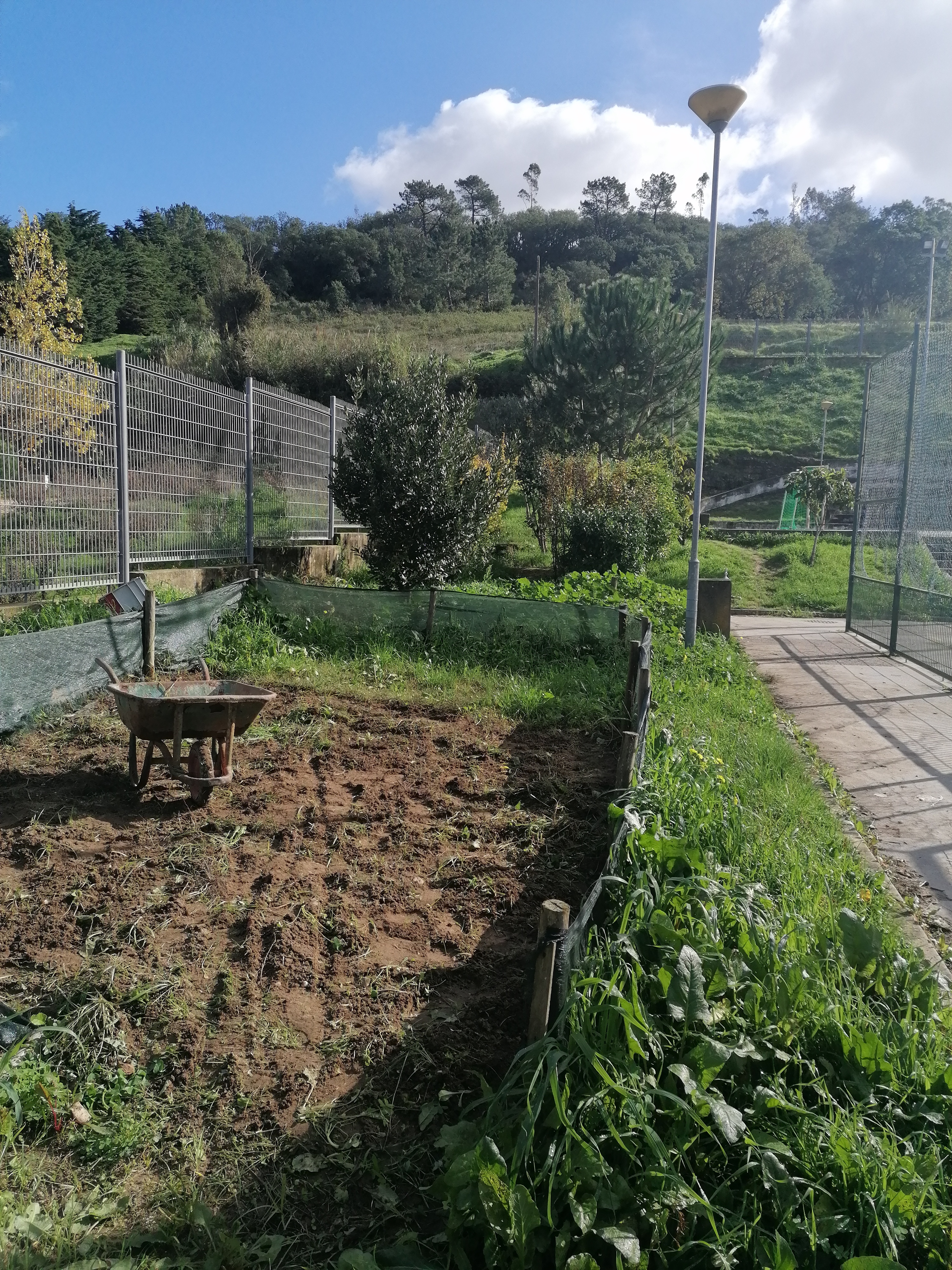 Preparação do terreno no exterior_2
