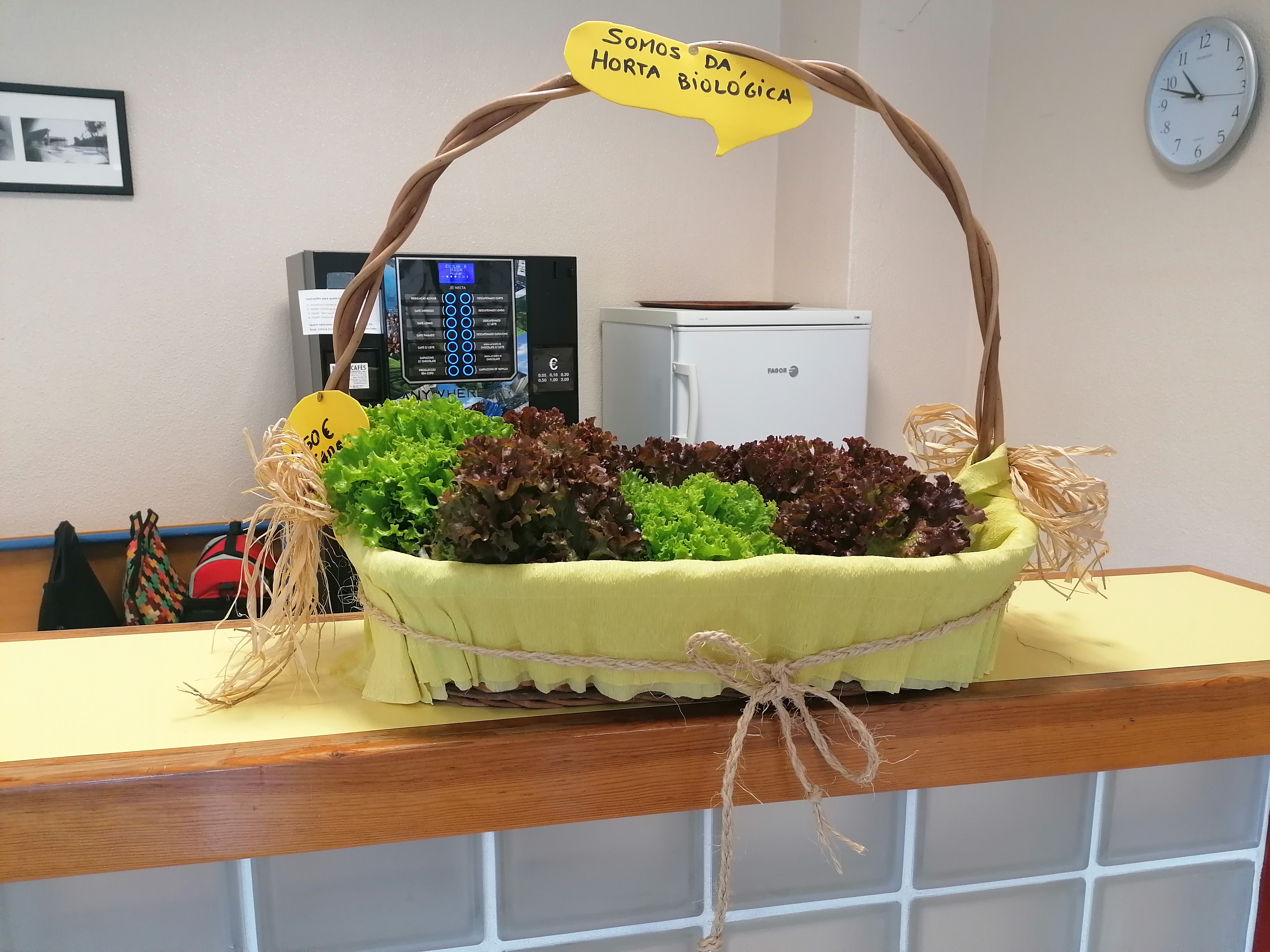 Cabaz com produtos da horta, disponíveis na sala de professor.
