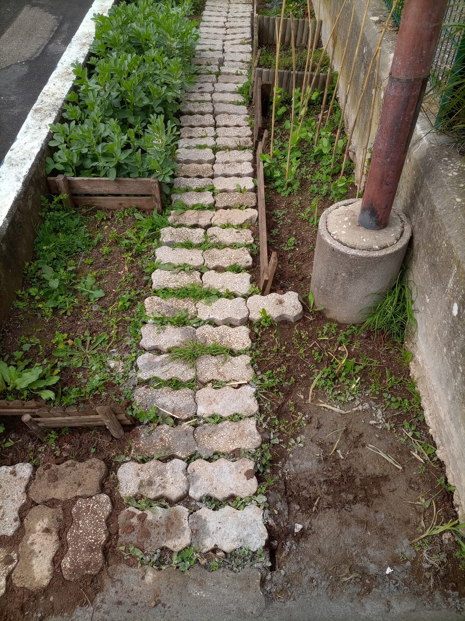 Controlo das ervas daninhas, nas plantações.