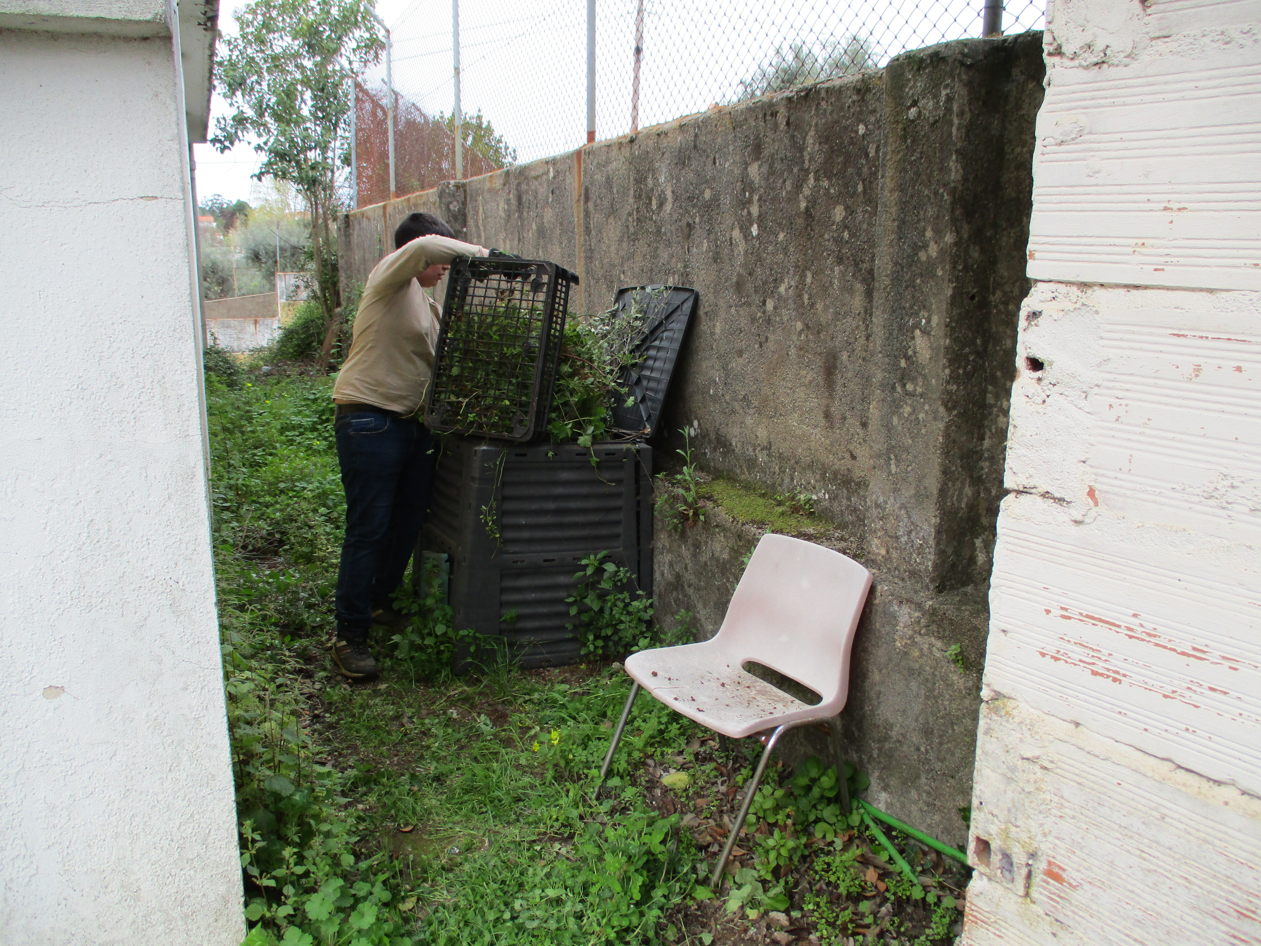 Colocar erva no compostor.