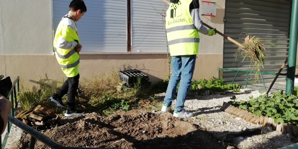 A foto representa a limpeza de canteiros para a sementeira de batatas e outras hortícolas, pelos alunos da Brigada da Hortinha.