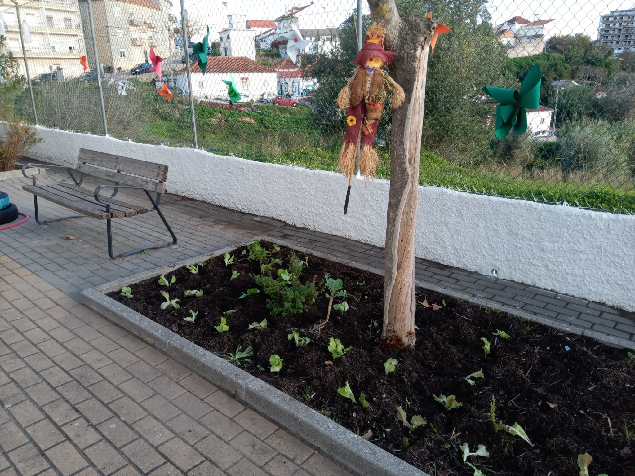 A foto representa o canteiro com as alfaces e com o espantalho construído pelos alunos da Brigada da Hortinha. Os materiais foram trazidos pelos pais e encarregados de educação dos alunos, fazendo a reaproveitamento destes materiais.