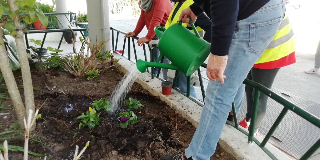 A foto representa flores comestíveis, neste caso são amores perfeitos, que servem para além de embelezar os canteiros, para enfeitar alguns pratos confecionados pela turma CEF