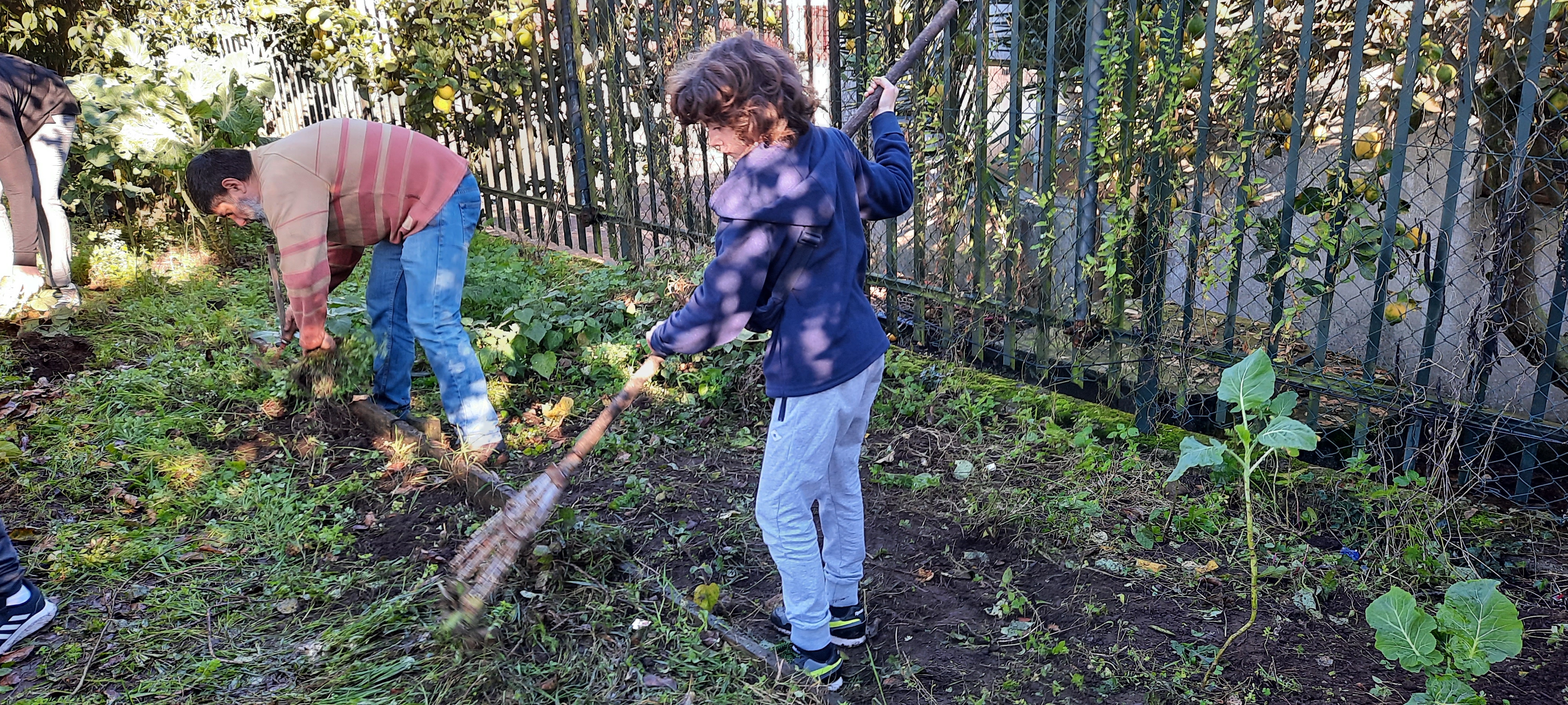 Apanha dos resíduos para a compostagem