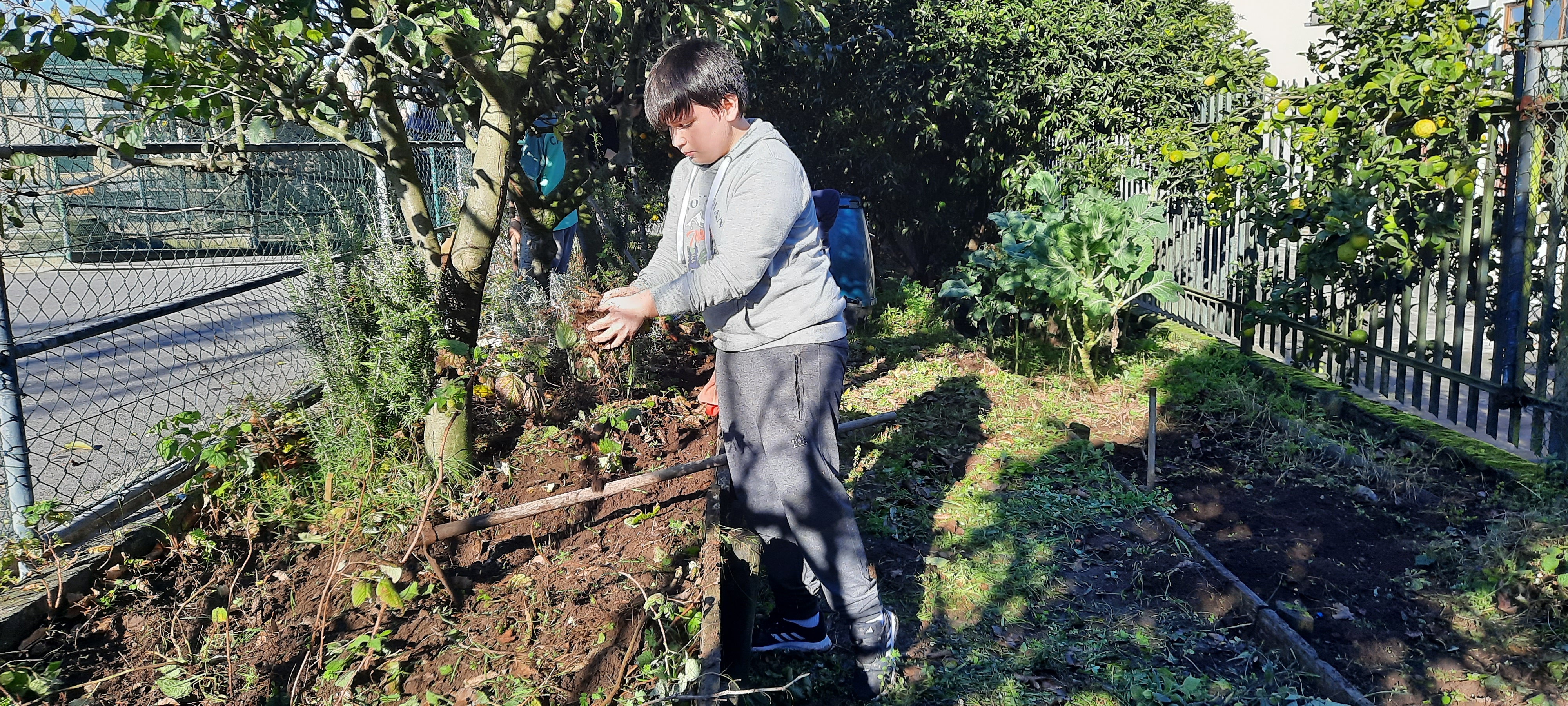 Apanha dos resíduos e separação para o compostor
