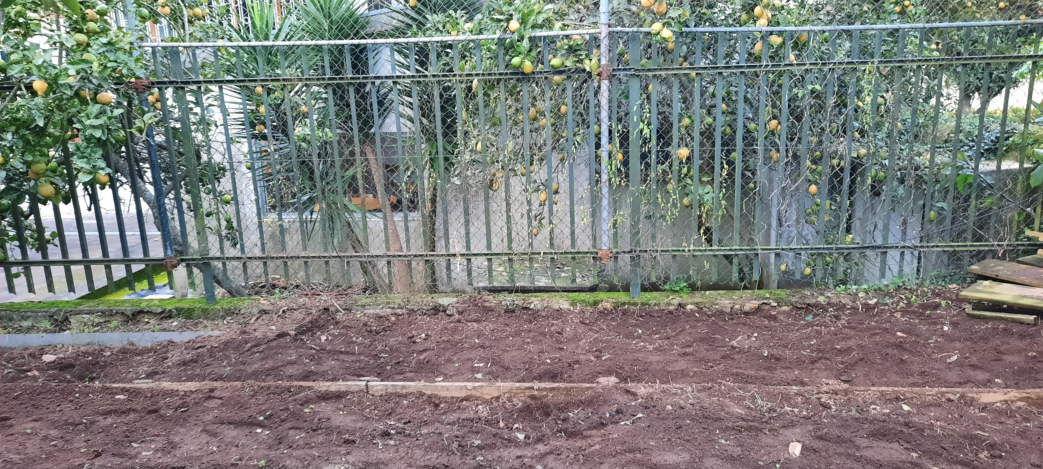 Limpeza do espaço concluída