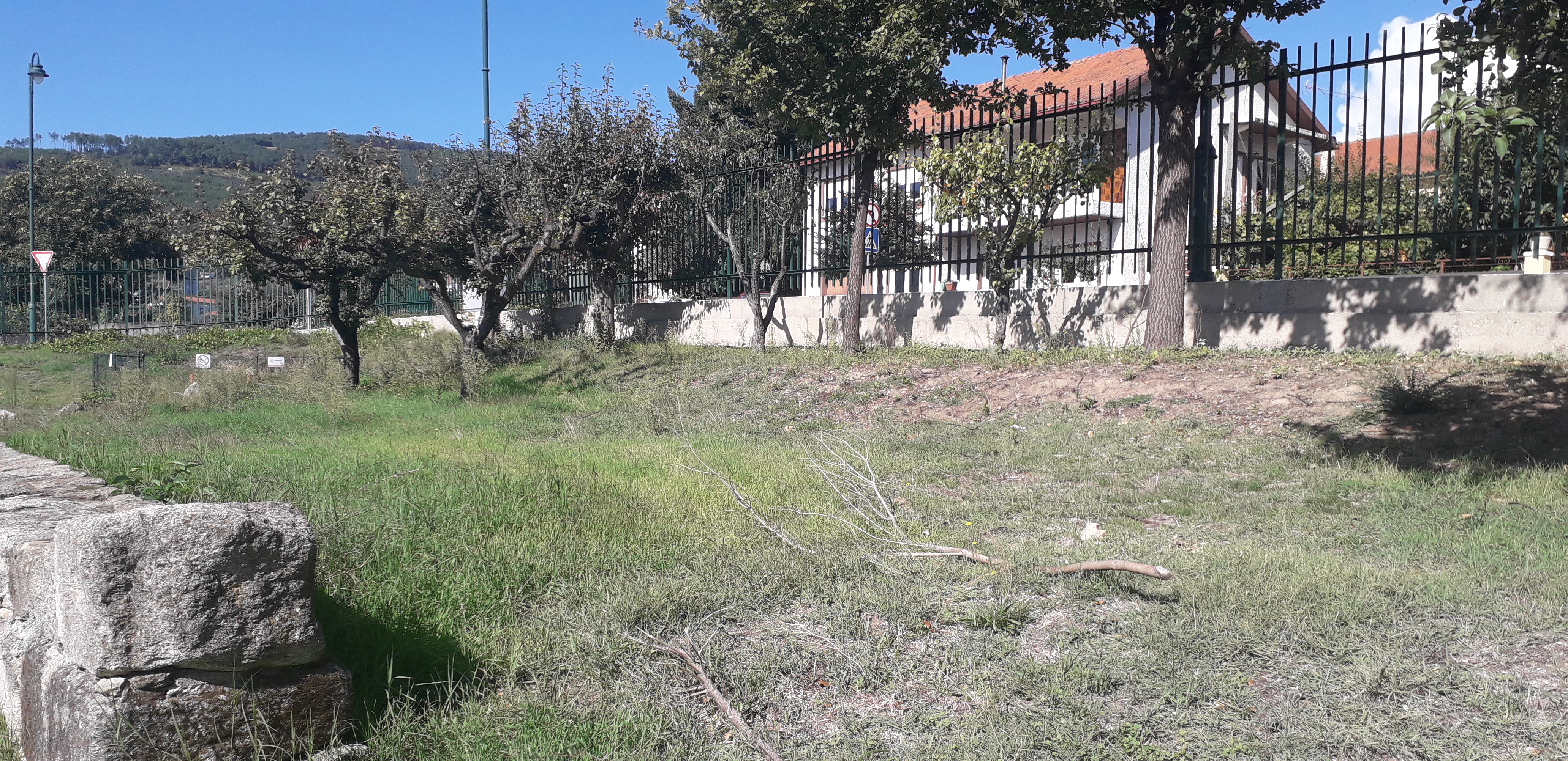 Escolha do local para implementar a nova horta.