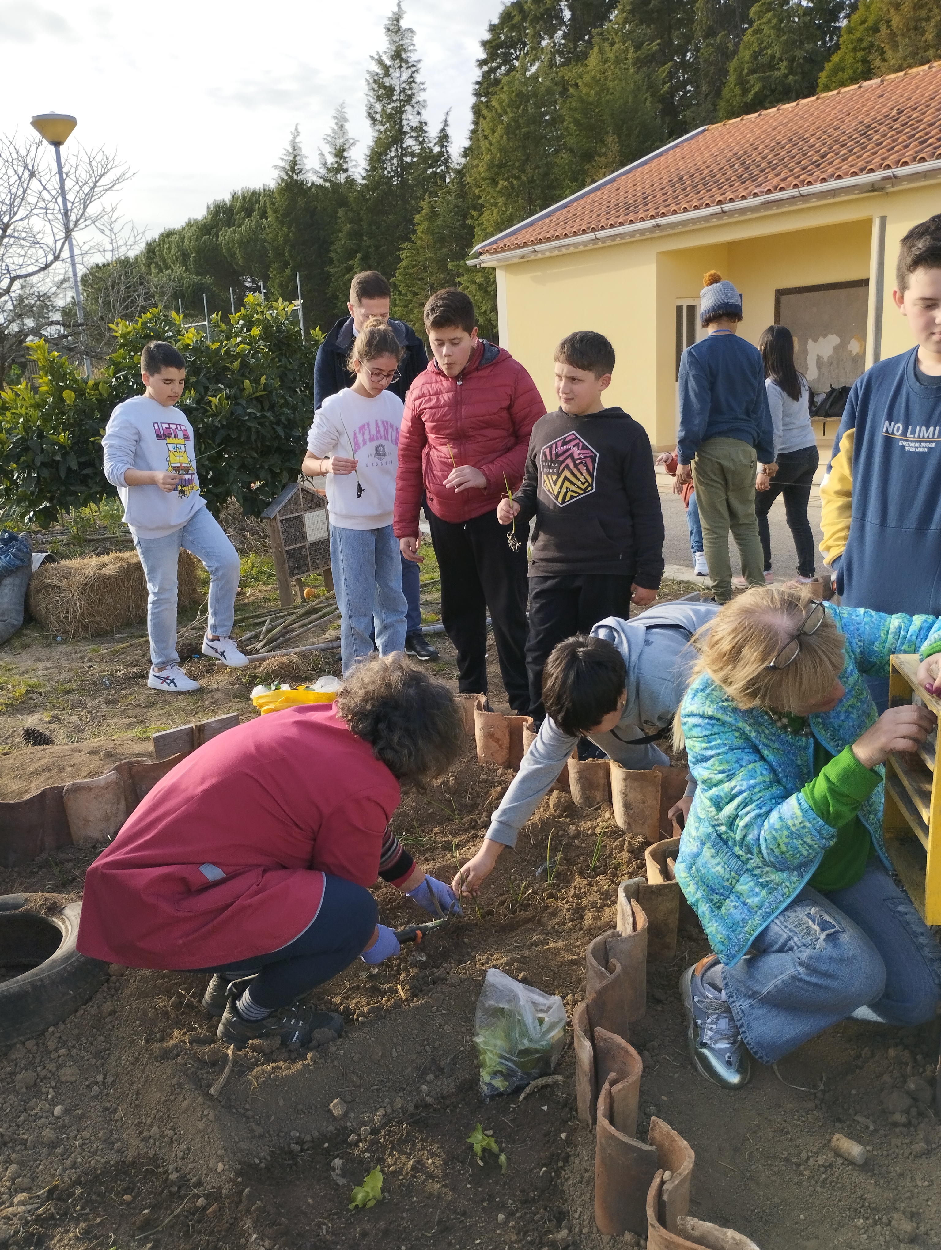 Alunos a fazerem as sementeiras/ plantios