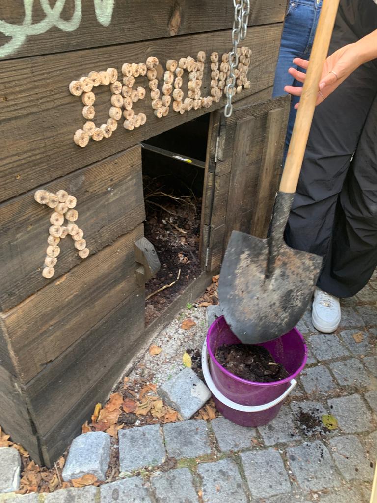 Alunos a retirar adubo do compostor para utilizar na horta.