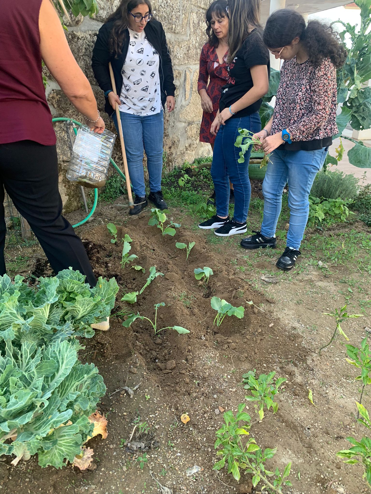 Primeiras plantações  - reflexão e diálogo sobre a horta.