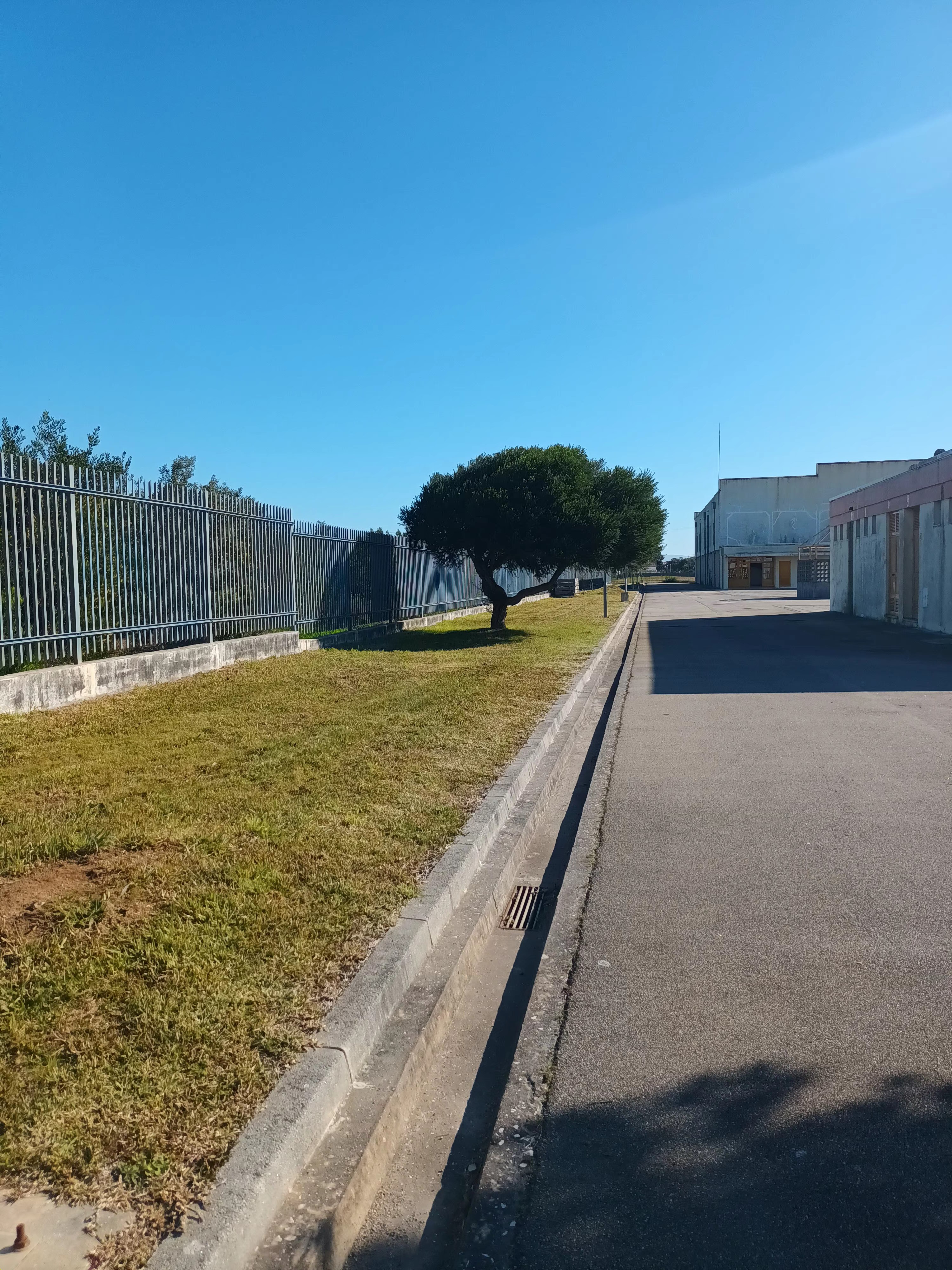 Limite norte da escola, com mangueira disponível, próximo da porta de serviço da cantina