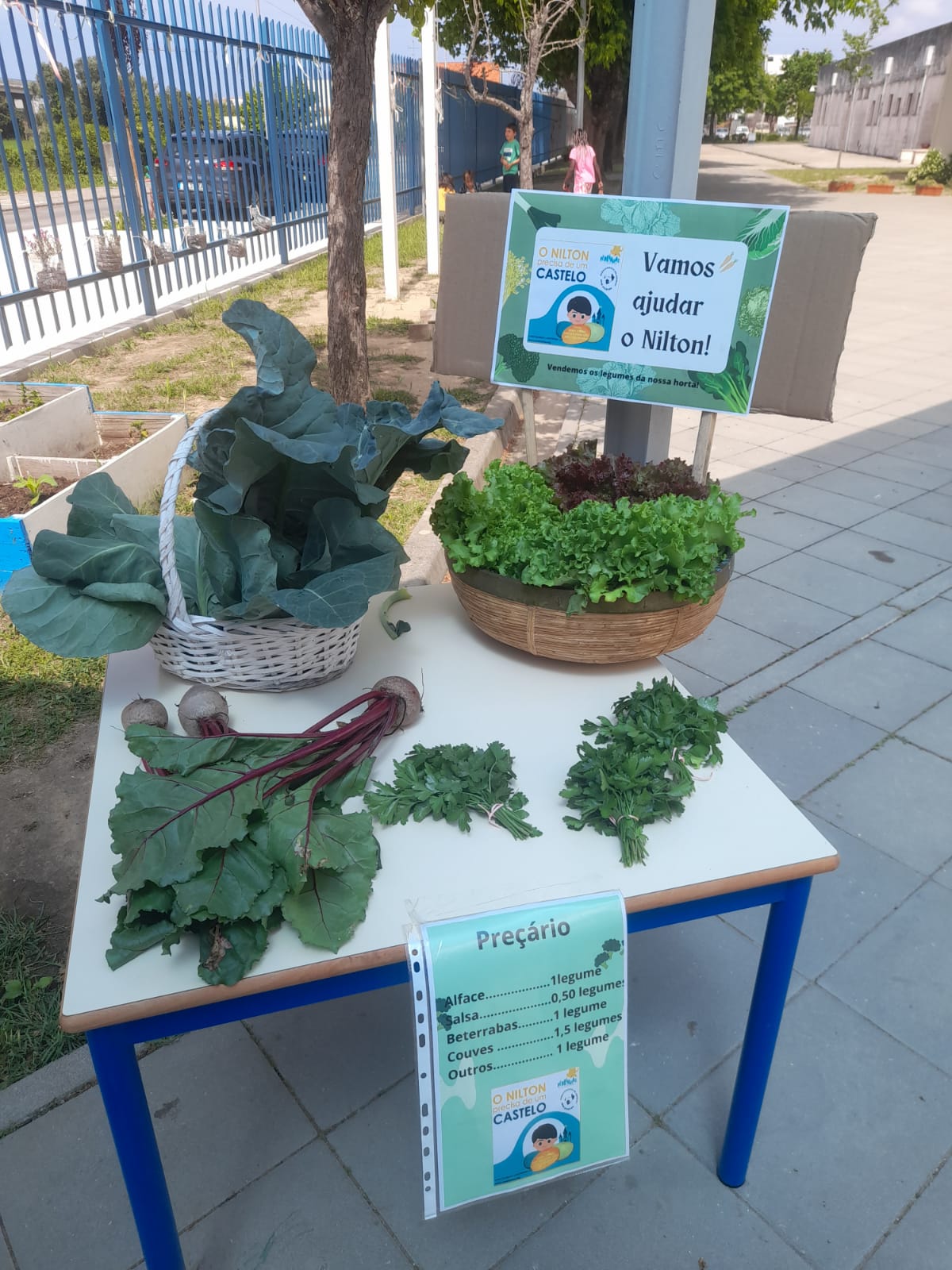 A nossa horta floresceu e deu origem a belos legumes.
Aproveitamos para ajudar o nosso Nilton a construir o seu castelo. Um aluno do agrupamento que teve um AVC e que precisa de obras na sua casa para que possa viver confortavelmente.