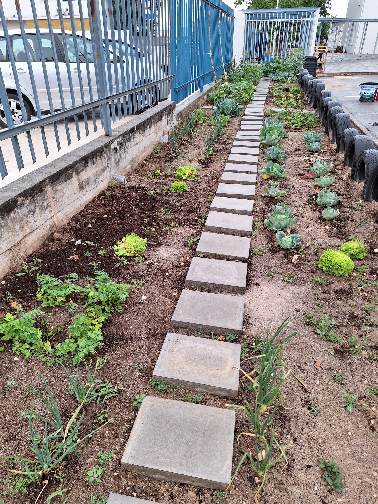 A nossa horta floresceu e deu origem a belos legumes.
Aproveitamos para ajudar o nosso Nilton a construir o seu castelo. Um aluno do agrupamento que teve um AVC e que precisa de obras na sua casa para que possa viver confortavelmente.