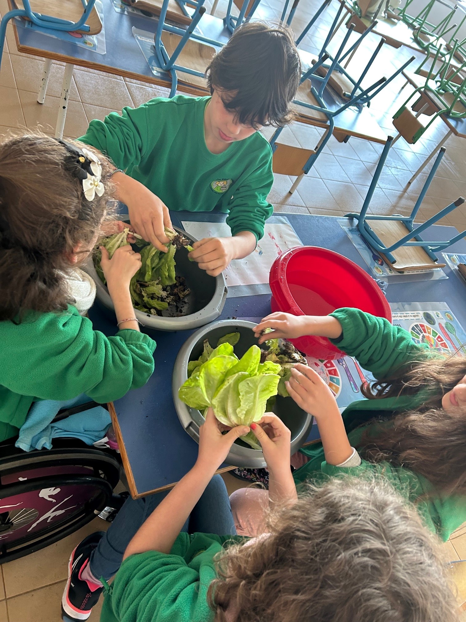 tratamento dos legumes