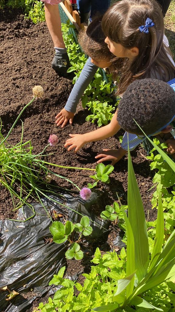 Exploração do espaço de plantio pelos alunos. Discussão sobre onde colocar cada vegetal...