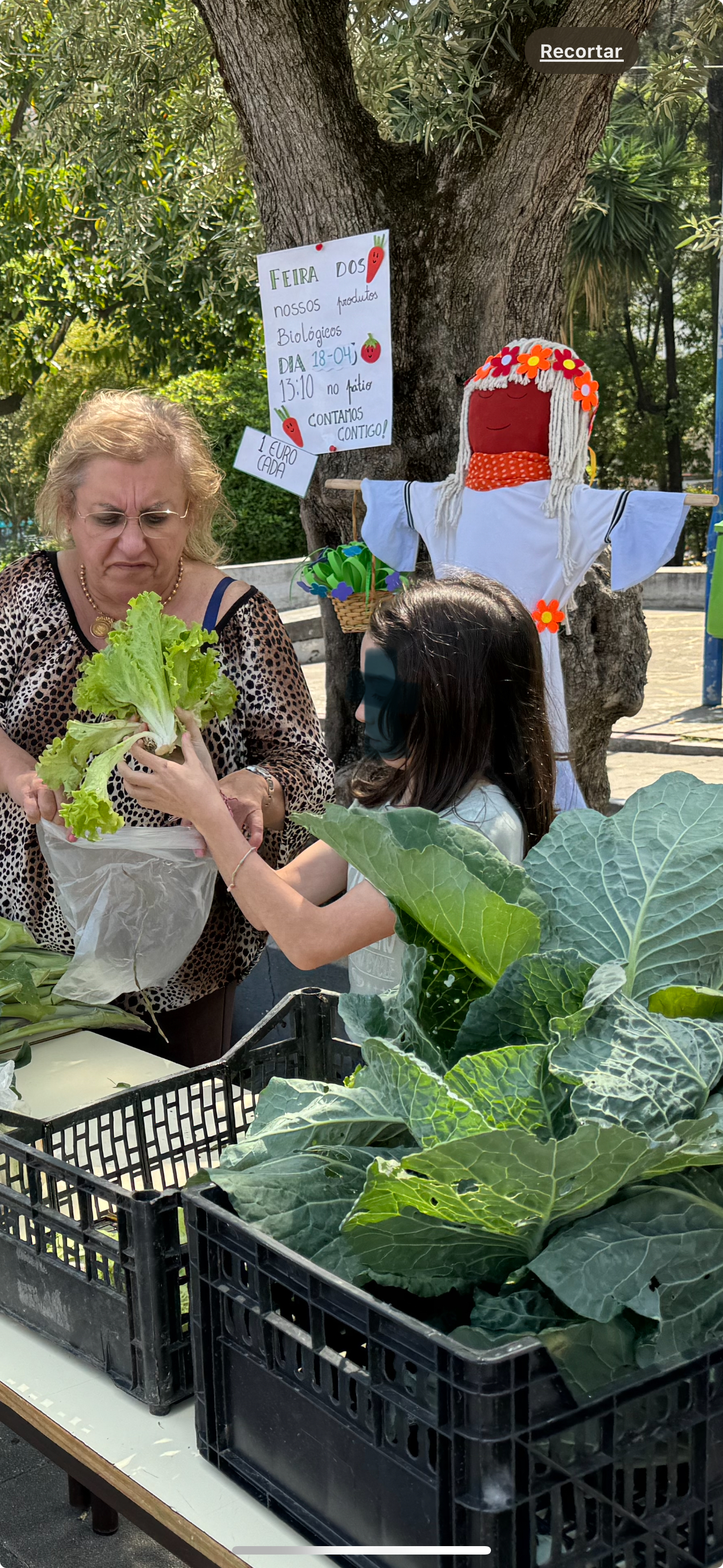Flora na Feira dos produtos biológicos 2