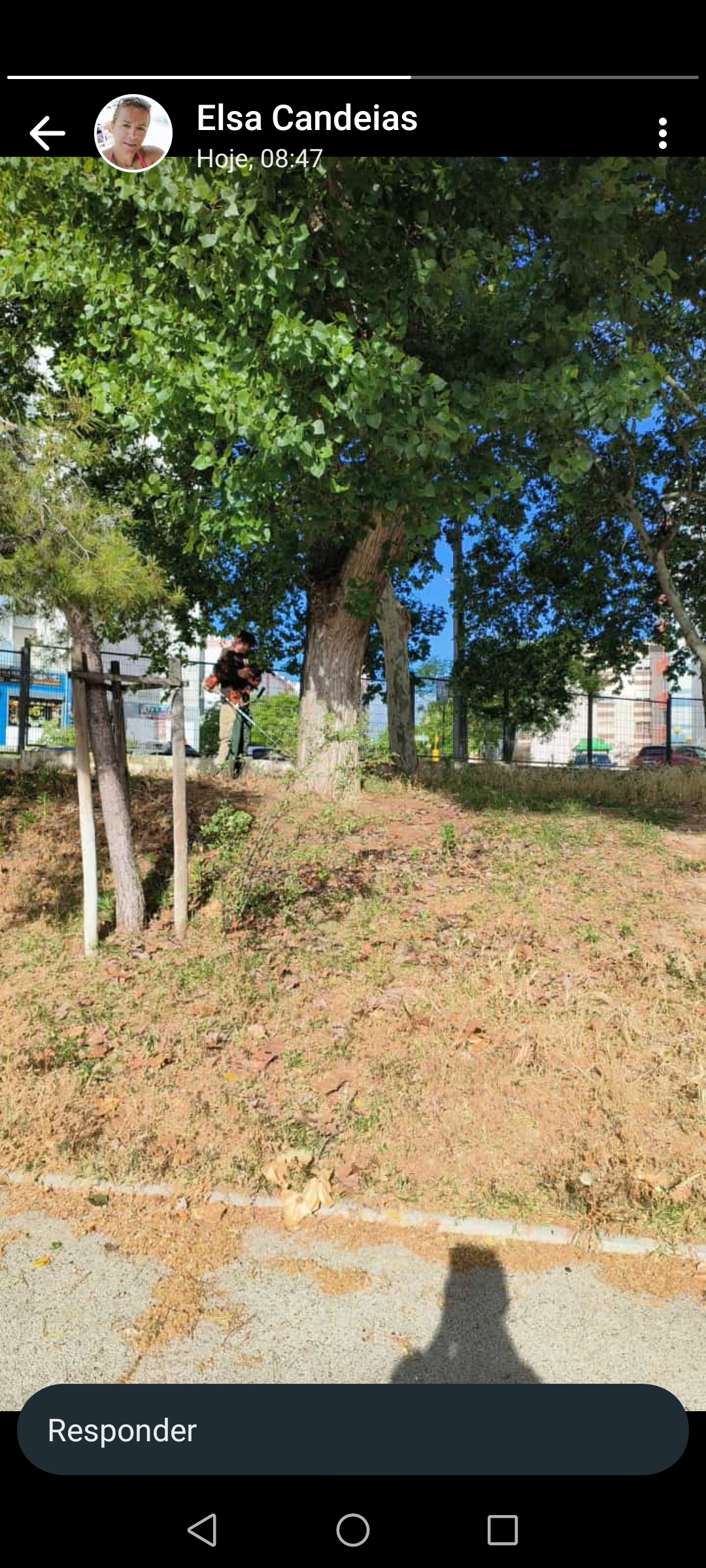 Preparação do terreno.
Extração de ervas daninhas e/ou plantas invasoras.