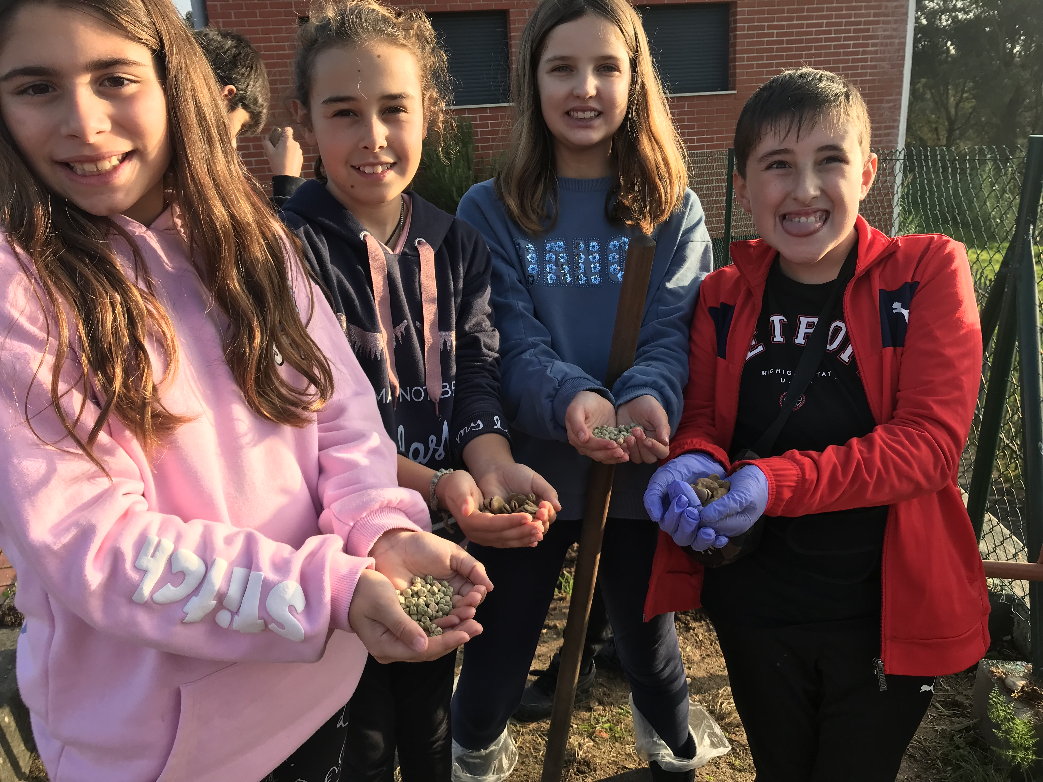 Conjunto de sementes utilizadas para alguns dos talhões definidos pela professora que coordena o grupo de alunos do 6D. Noutros casos foram utilizadas plantas pequenas que foram transplantadas para o espaço da horta.
