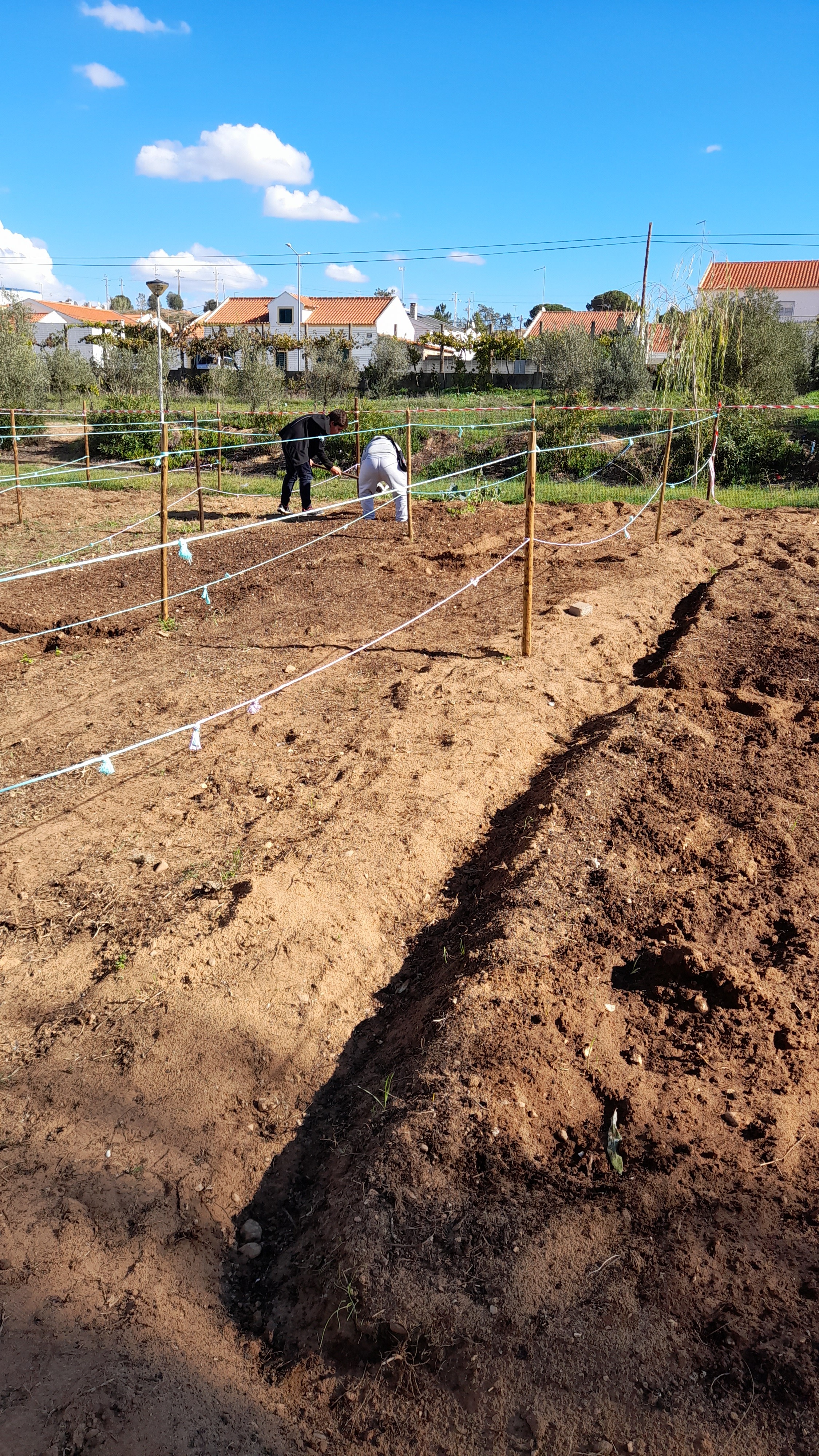 BioHorta: Início da preparação do terreno.