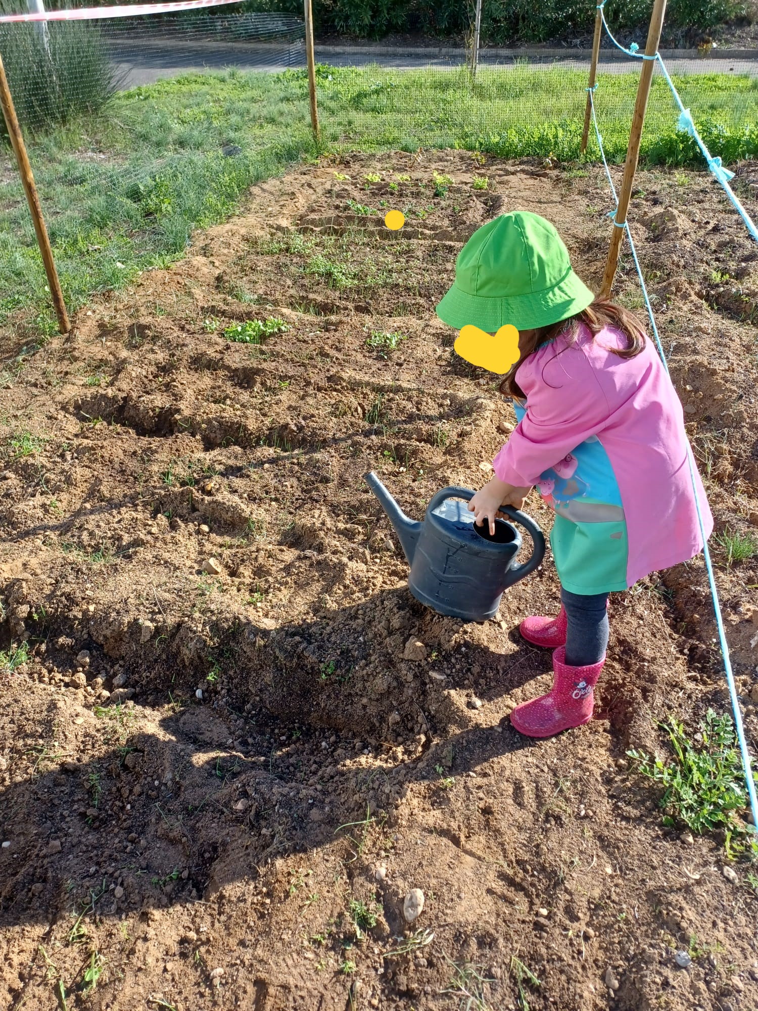 A regar a BioHorta