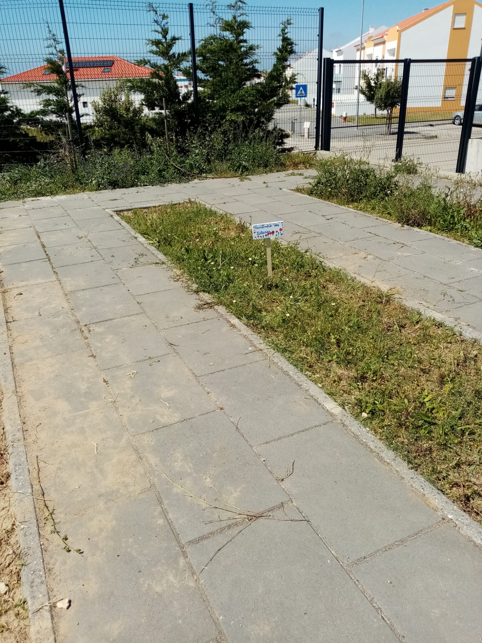 A horta da pré já está marcada. todas as hortas da escola têm nome.