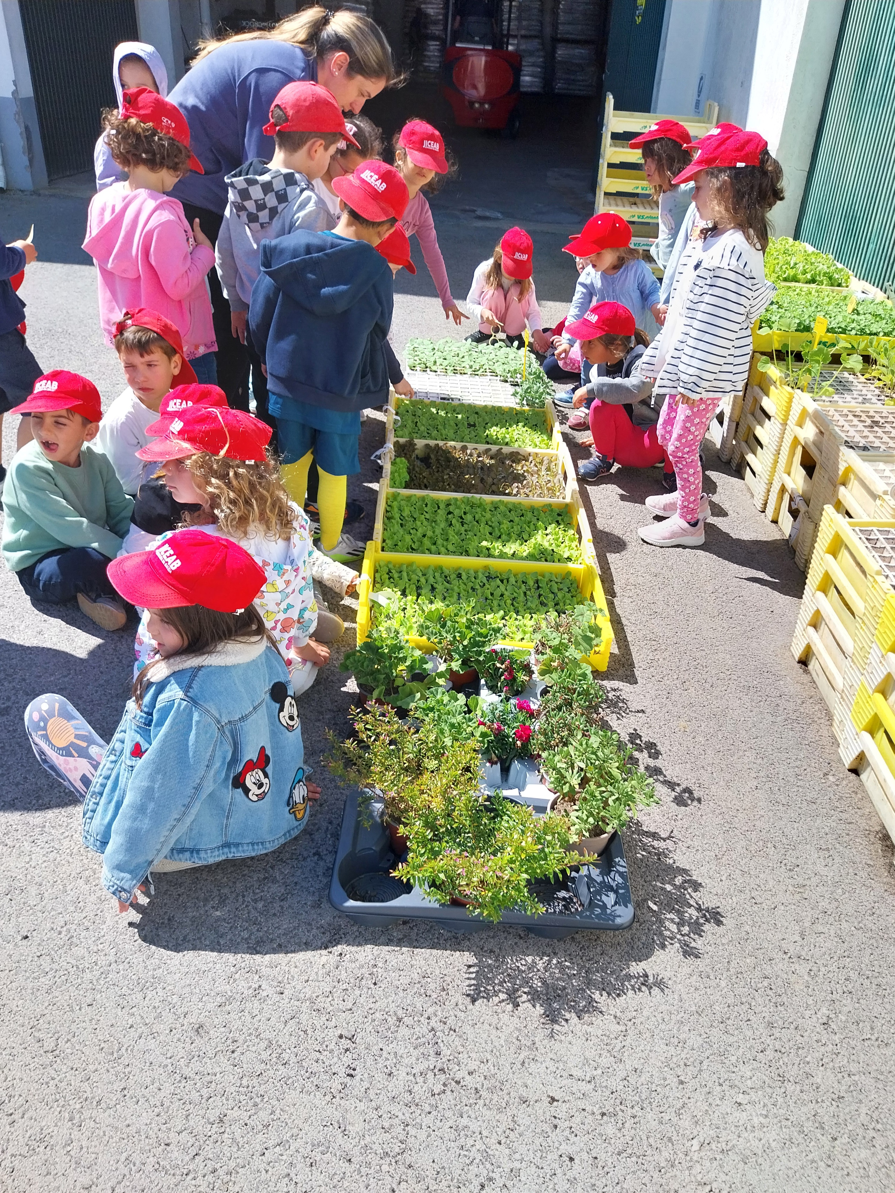 O Pré-escolar também  foi  comprar as plantas para a horta.
