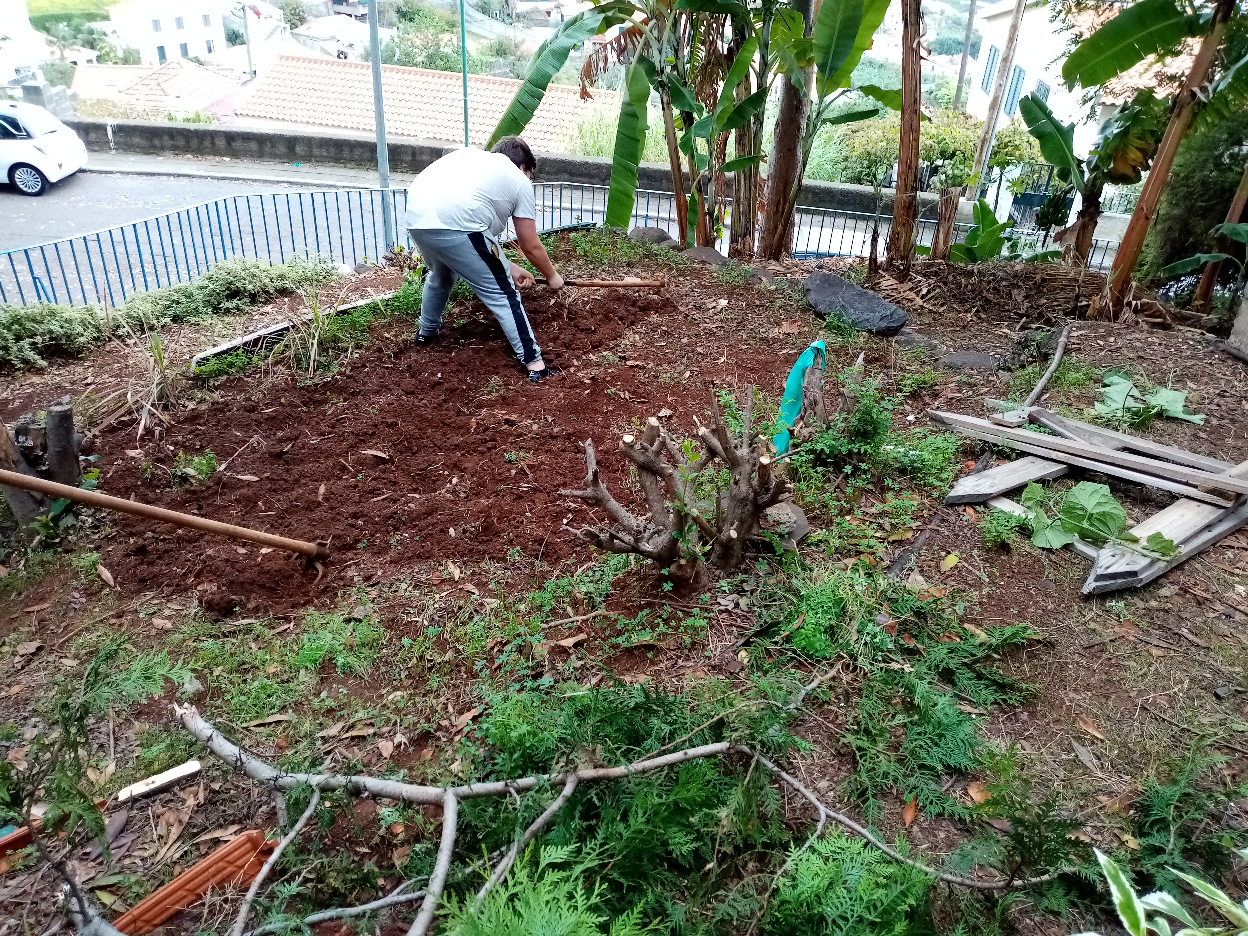 Preparação do terreno.