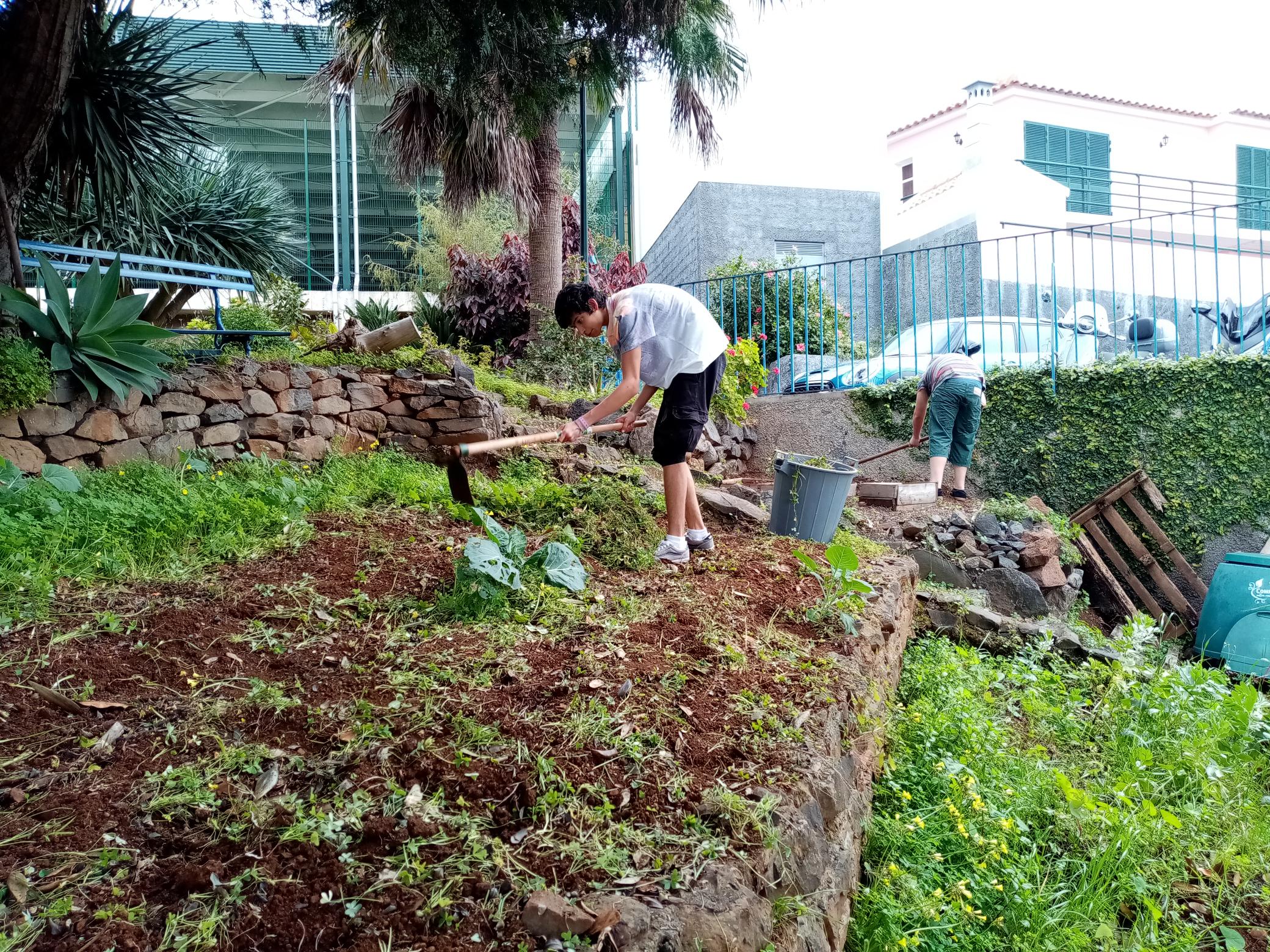 Preparação do terreno.