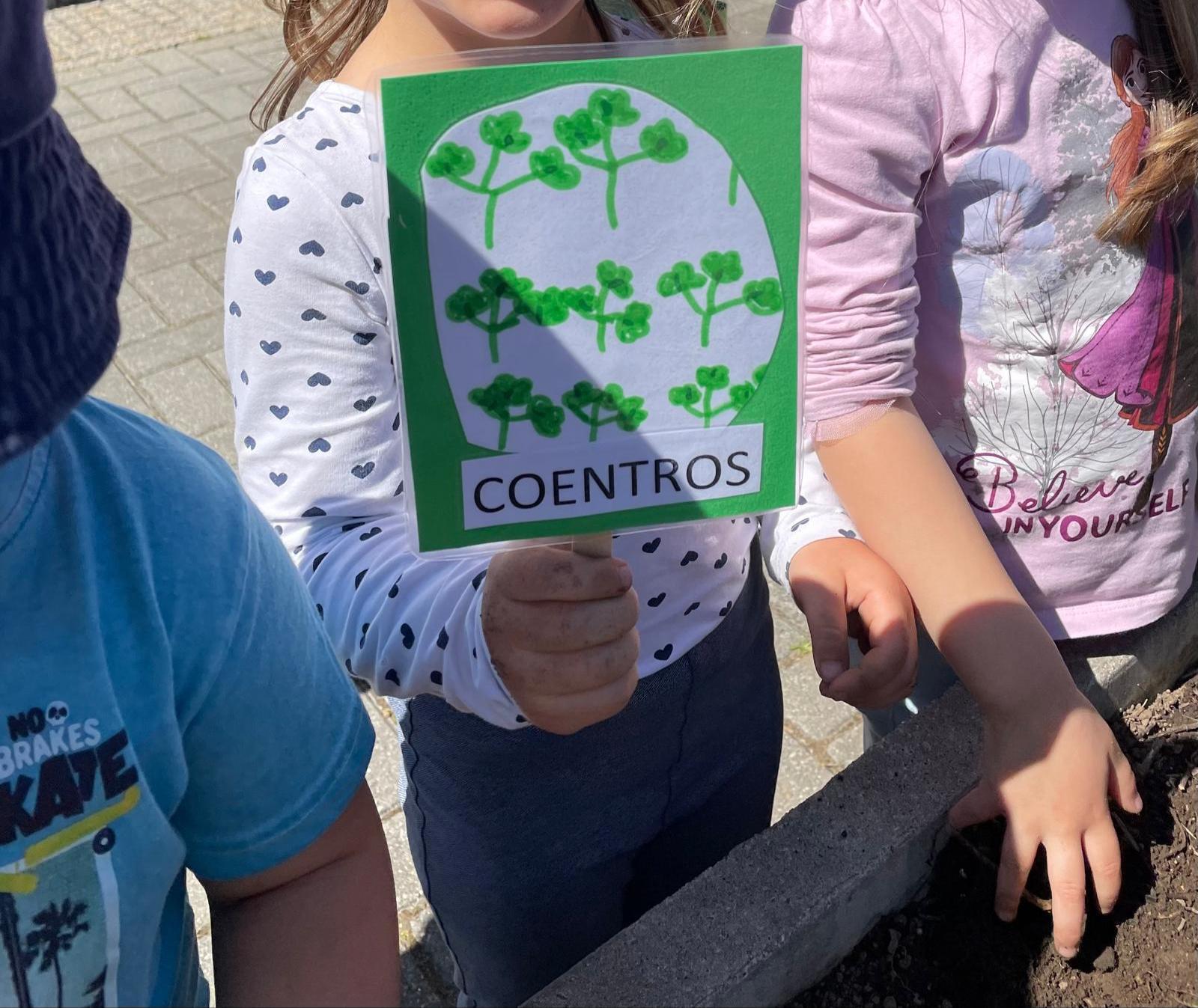 Colocação de placa de identificação no canteiro.