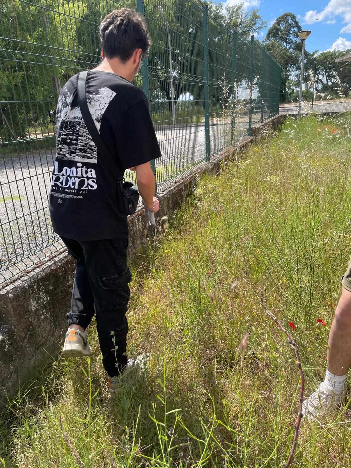 Início da limpeza do terreno