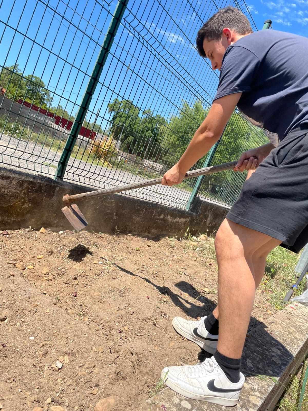 Preparar o terreno para plantar