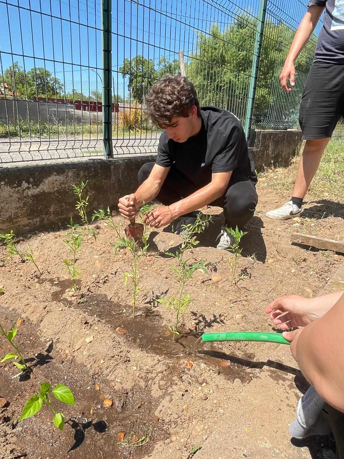 Substituir algumas plantas