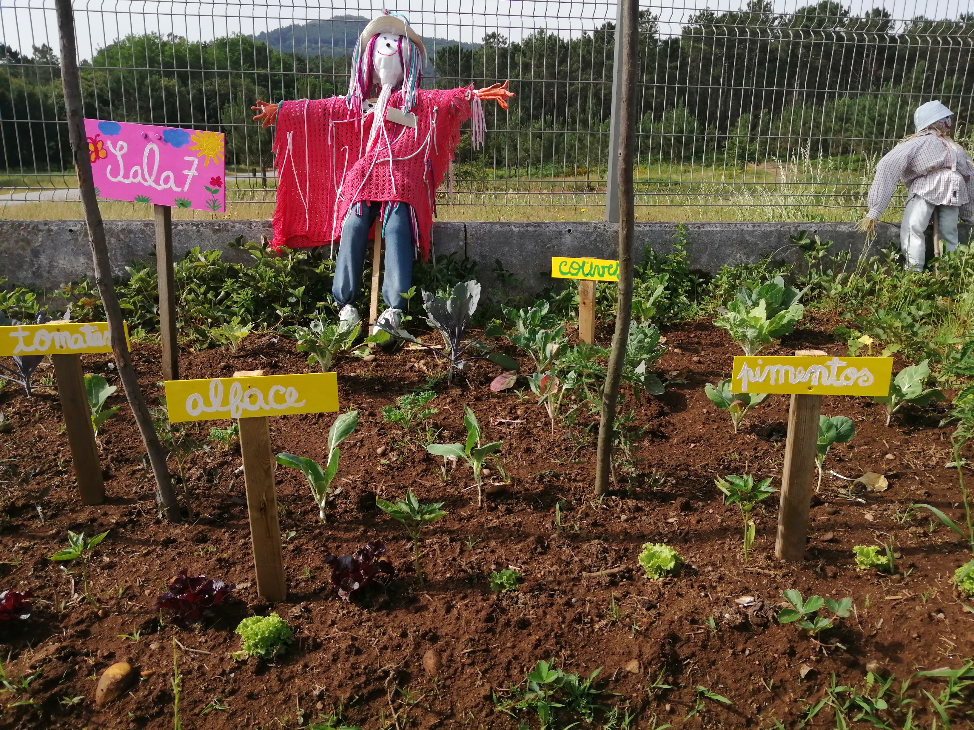 O campo cultivado.
