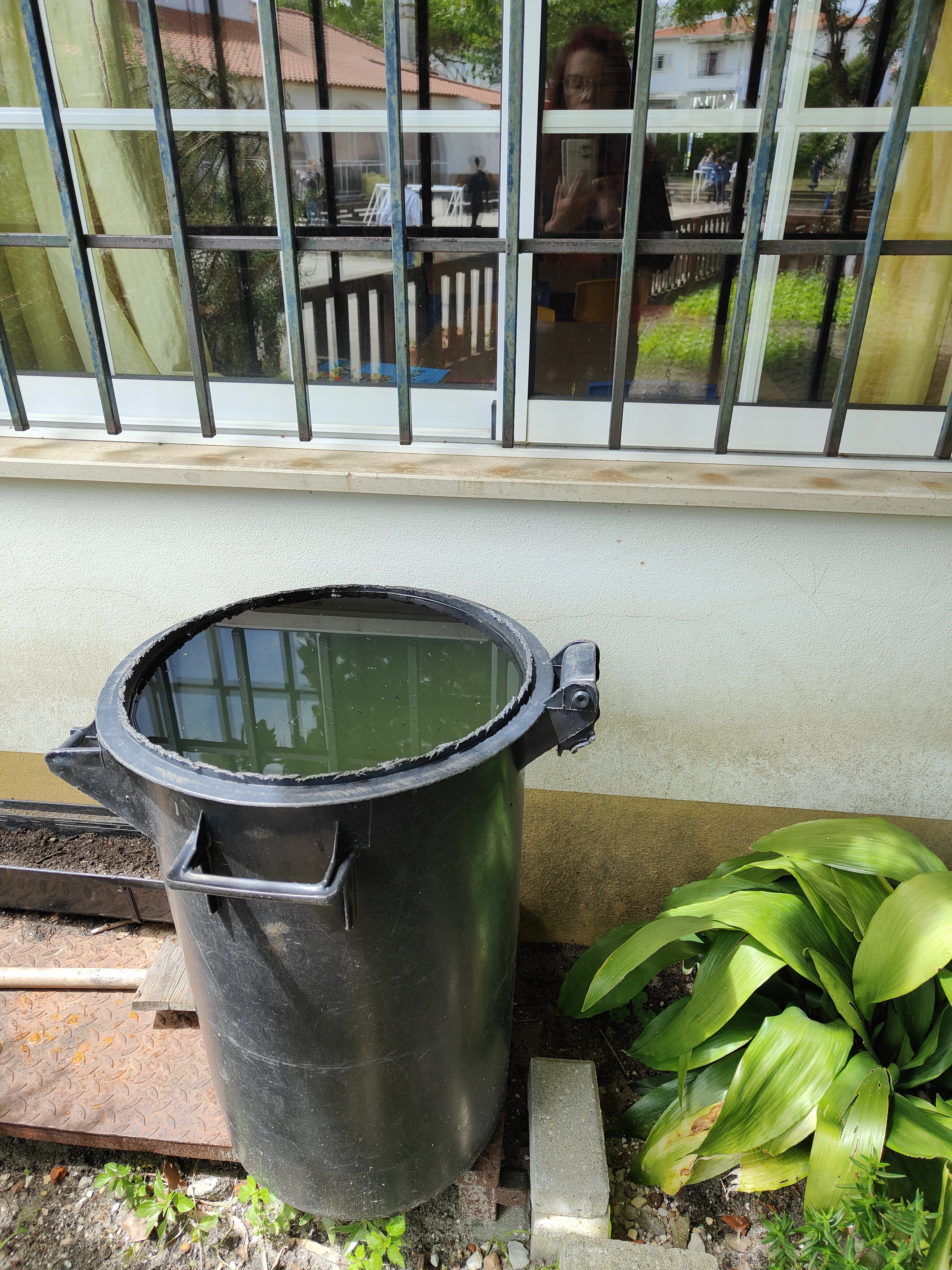 Durante o ano letivo aproveita-se o máximo de água da chuva para regar as plantas da horta.