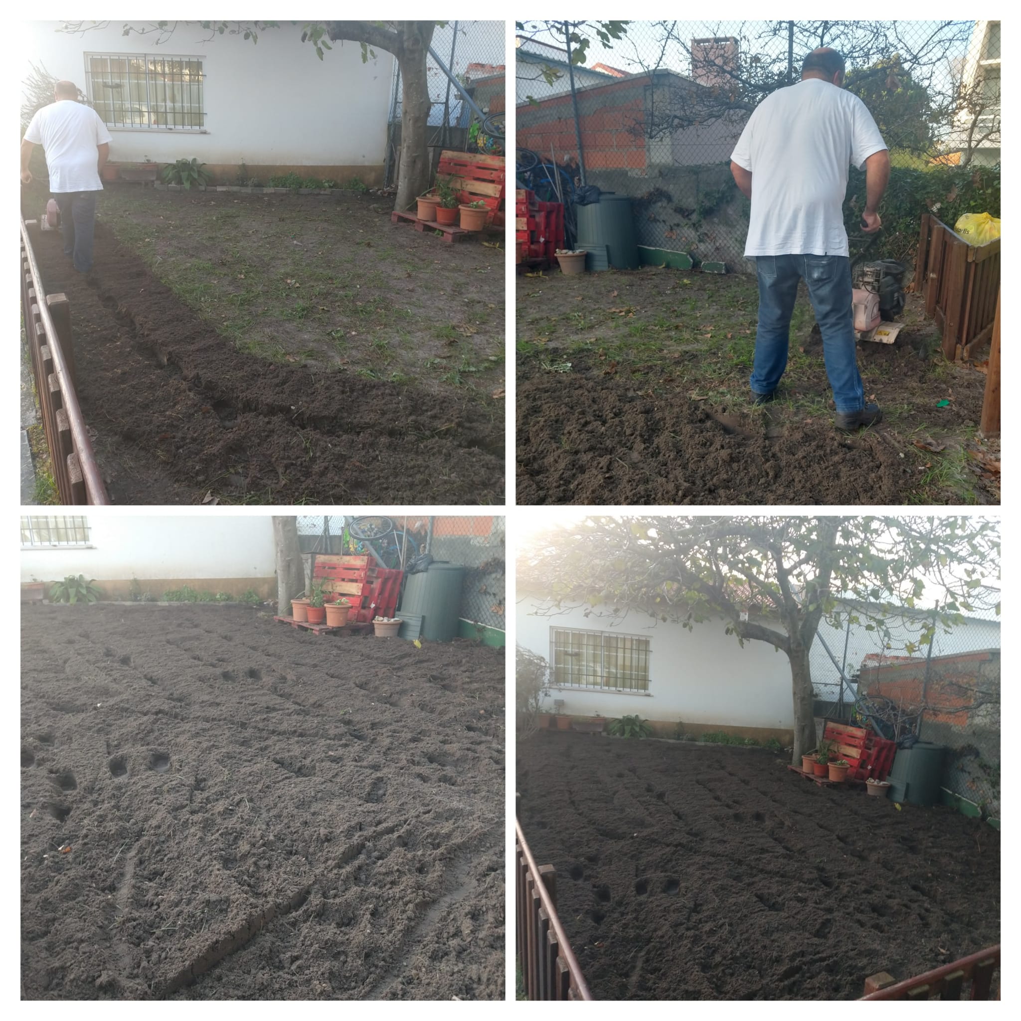Preparação do terreno feita com o apoio dos  Encarregados de Educação, para dar início às sementeiras.