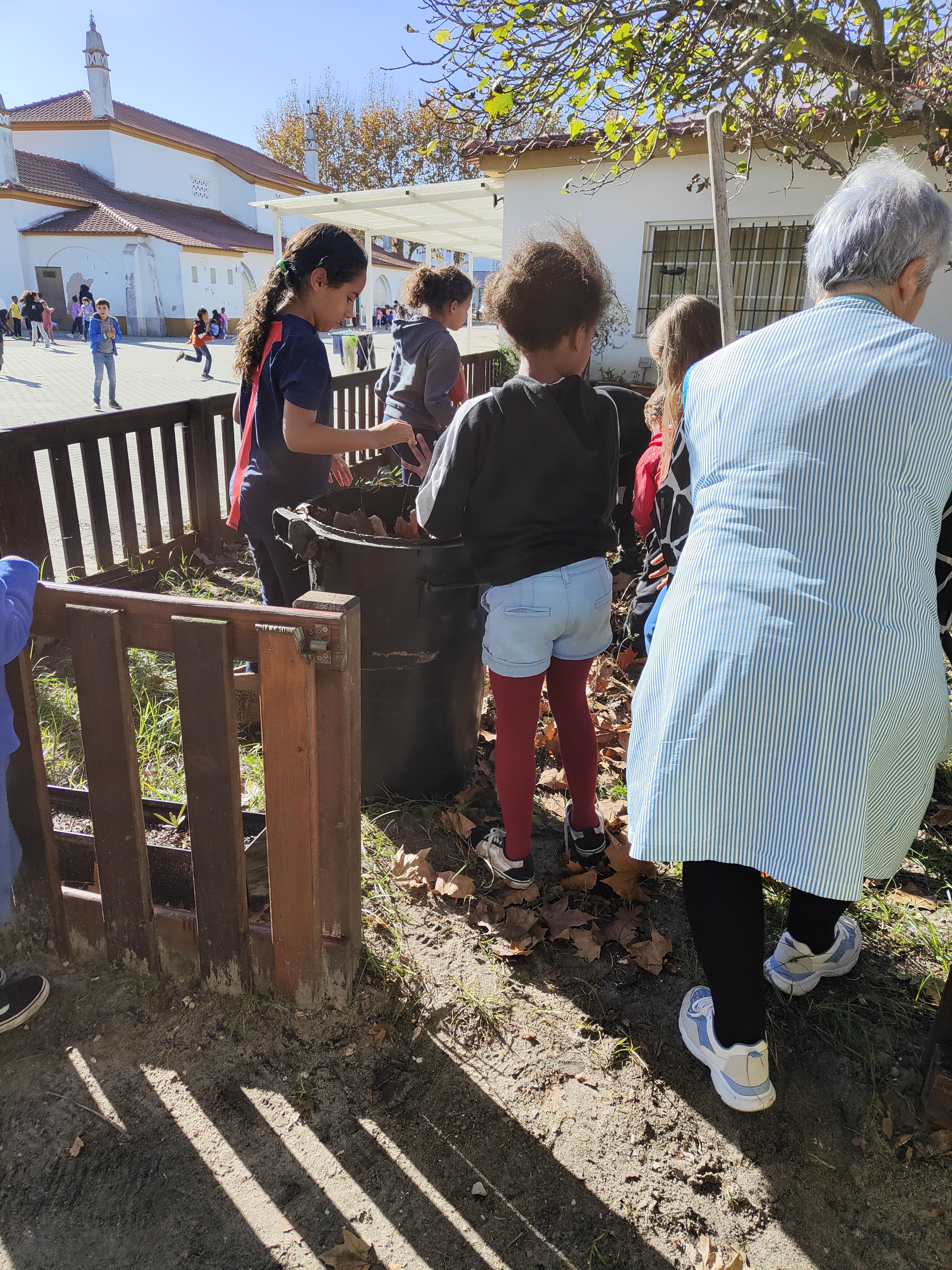 Aproveitamento das folhas recolhidas na limpeza do terreno, para a realização da compostagem.