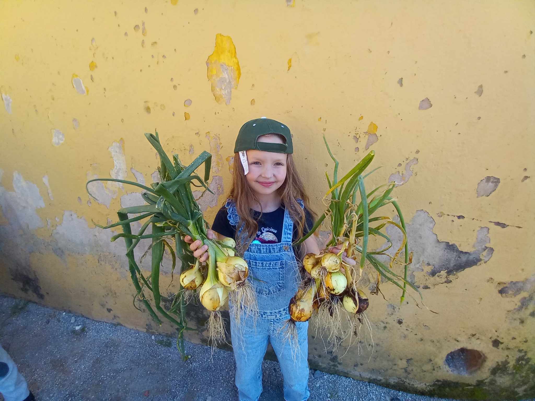 Que lindas cebolas!