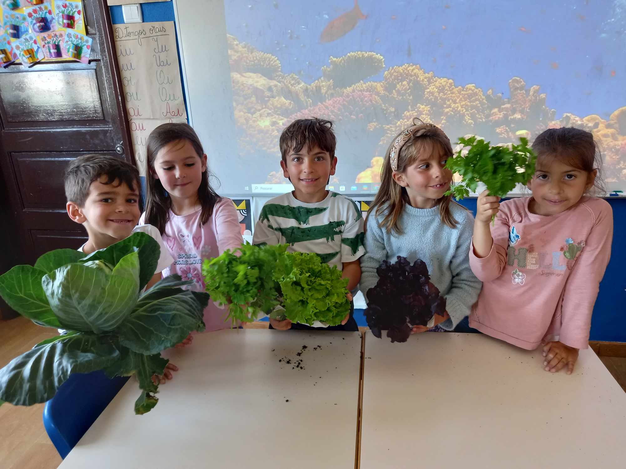 Colhemos tantos legumes saudáveis na nossa horta-bio!